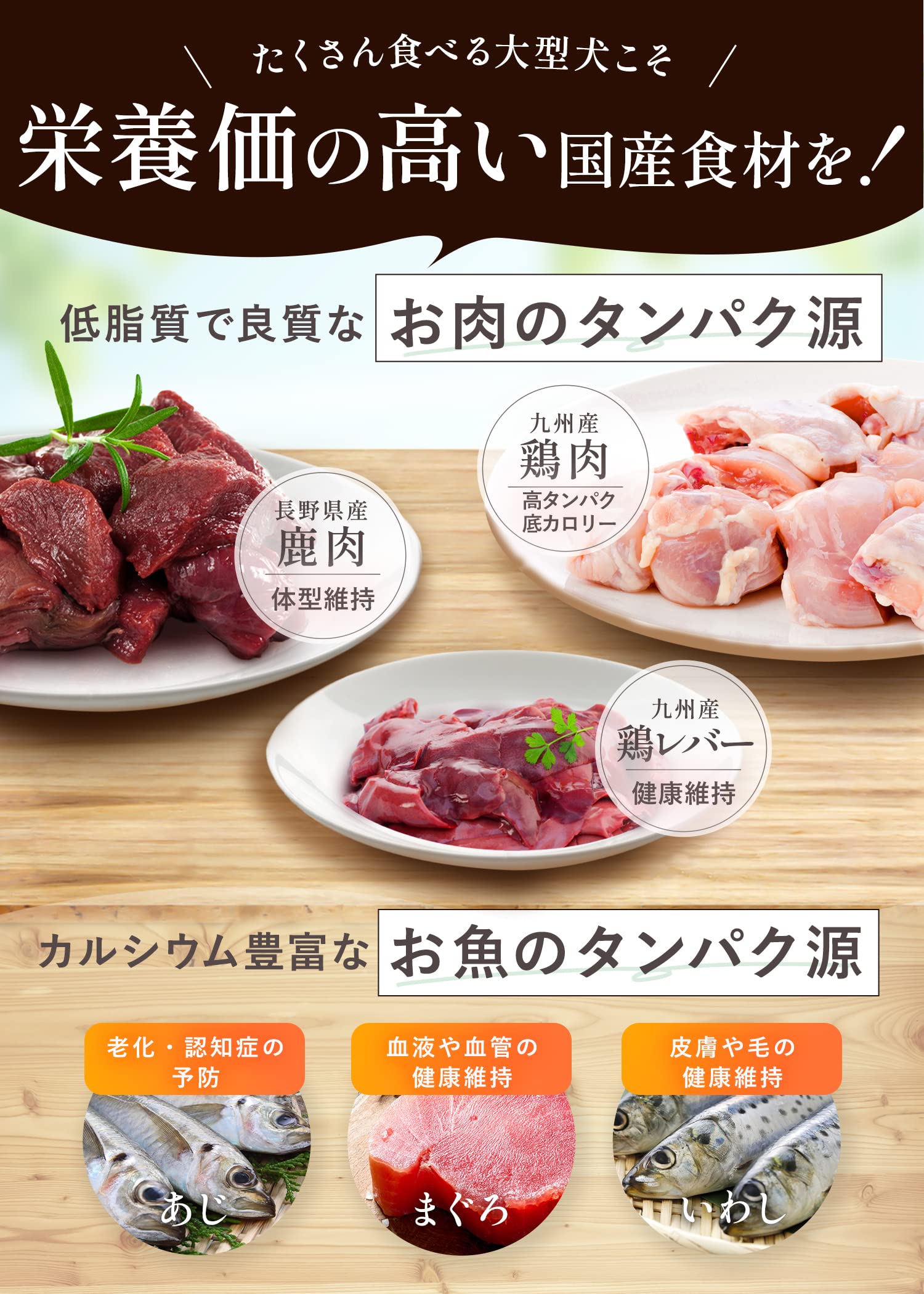 Amazon.co.jp: グレボ GLEBO 国産 ドッグフード 大型犬 [ 獣医師推奨