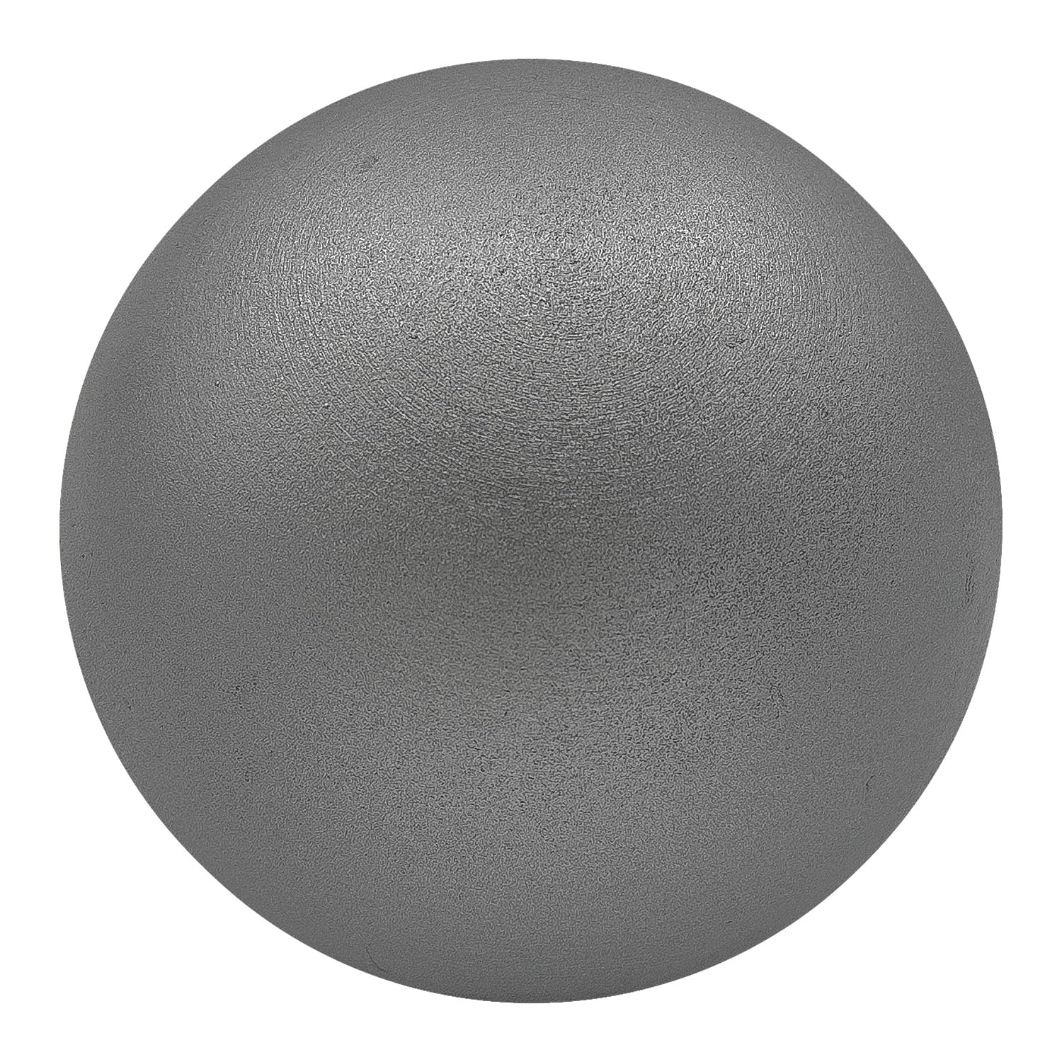 Champion Sports Iron Shot Put