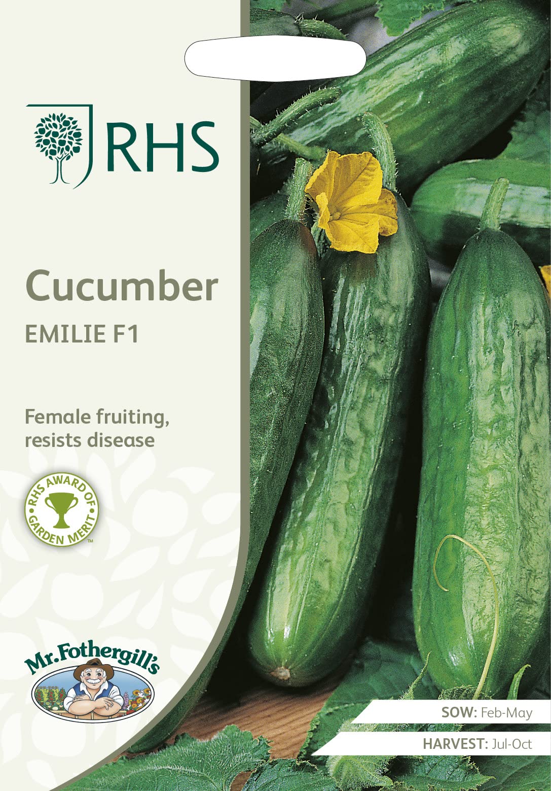 Mr Fothergill's - RHS Cucumber Emilie F1