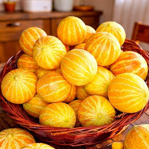 Queen Anne's Pocket Melon Cucumis Melo 20+ seeds