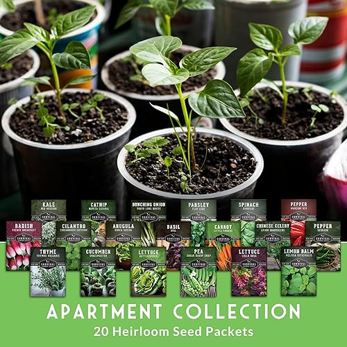 Miniatura 3 de Indoor Garden Vegetables Hydroponic Apartment Garden – Variedades de verduras tradicionales sin OMG para espacios pequeños Patio Jardín – Apto para
