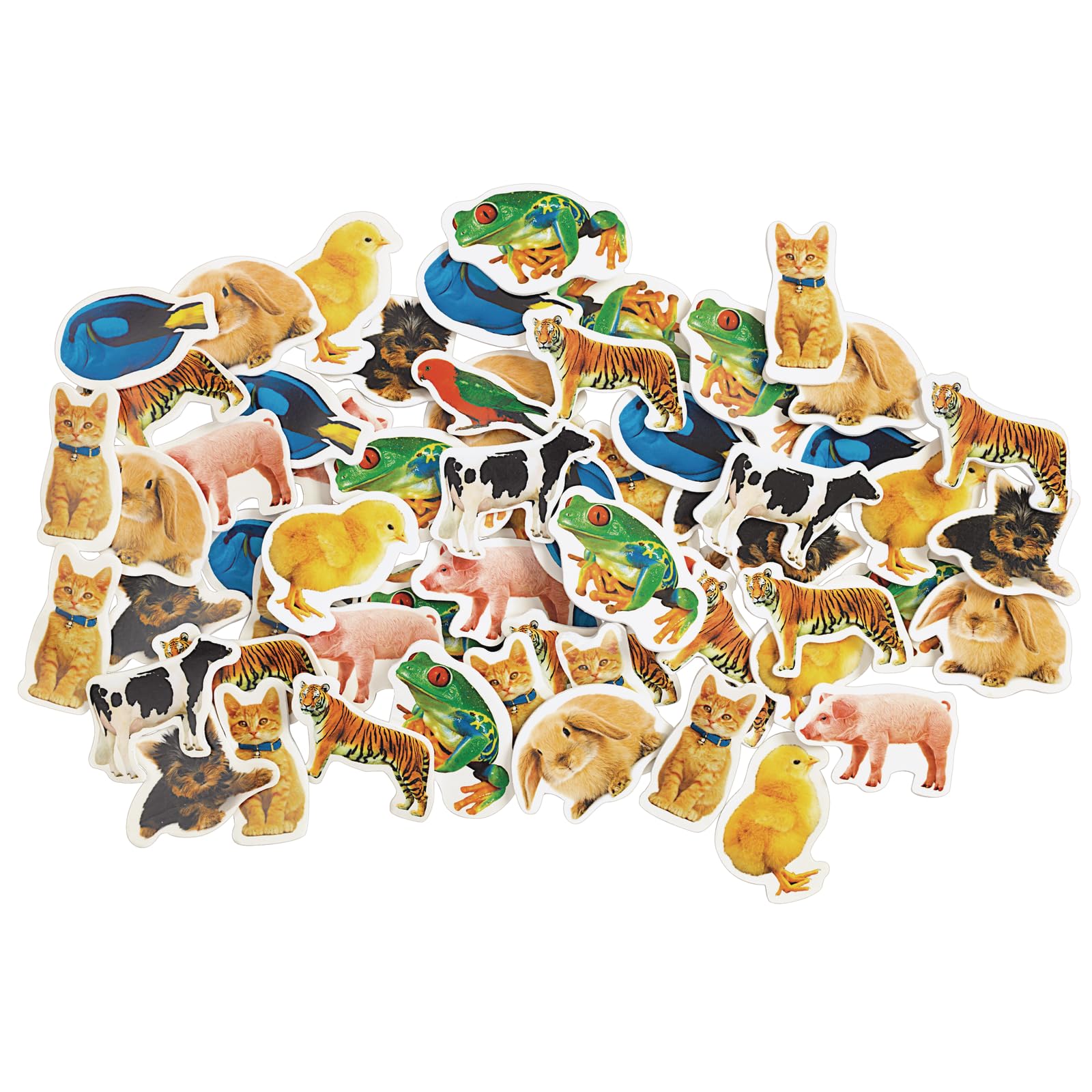 Colorations Lot de 250 autocollants en mousse avec photo d'animaux
