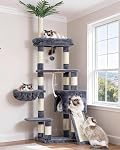 Heybly Arbre de chat, 65.4 Tour de chat pouces pour les chats d'intérieur, Condo Cat avec perches, Panier, Feuille, Bol d'alimentation, Meubles de chat moderne en peluche multi-niveaux avec des poteaux de Scratching, Beige HCT015M