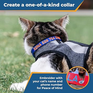GoTags Personalized Cat Collars with Breakaway Safety Release Buckle Custom