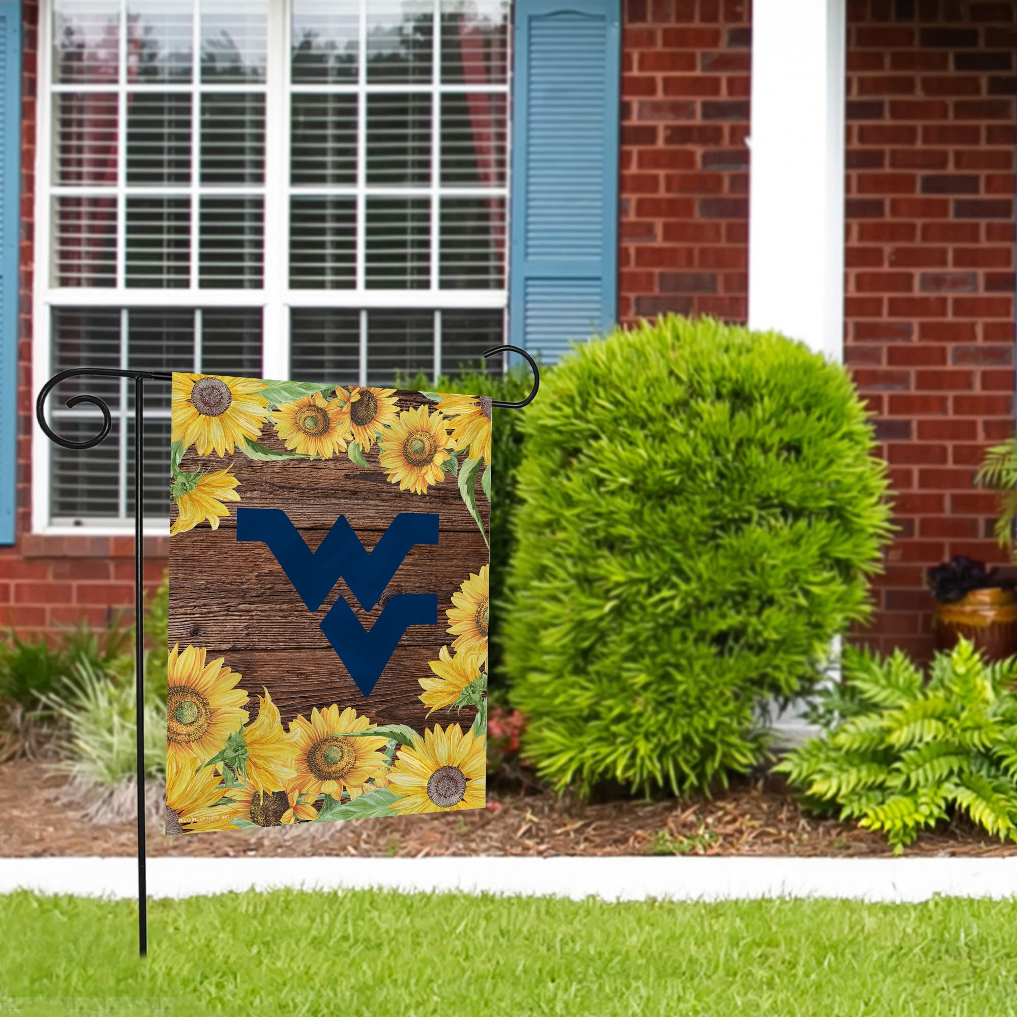 Rico Industries NCAA West Virginia Mountaineers Sunflower Spring 13
