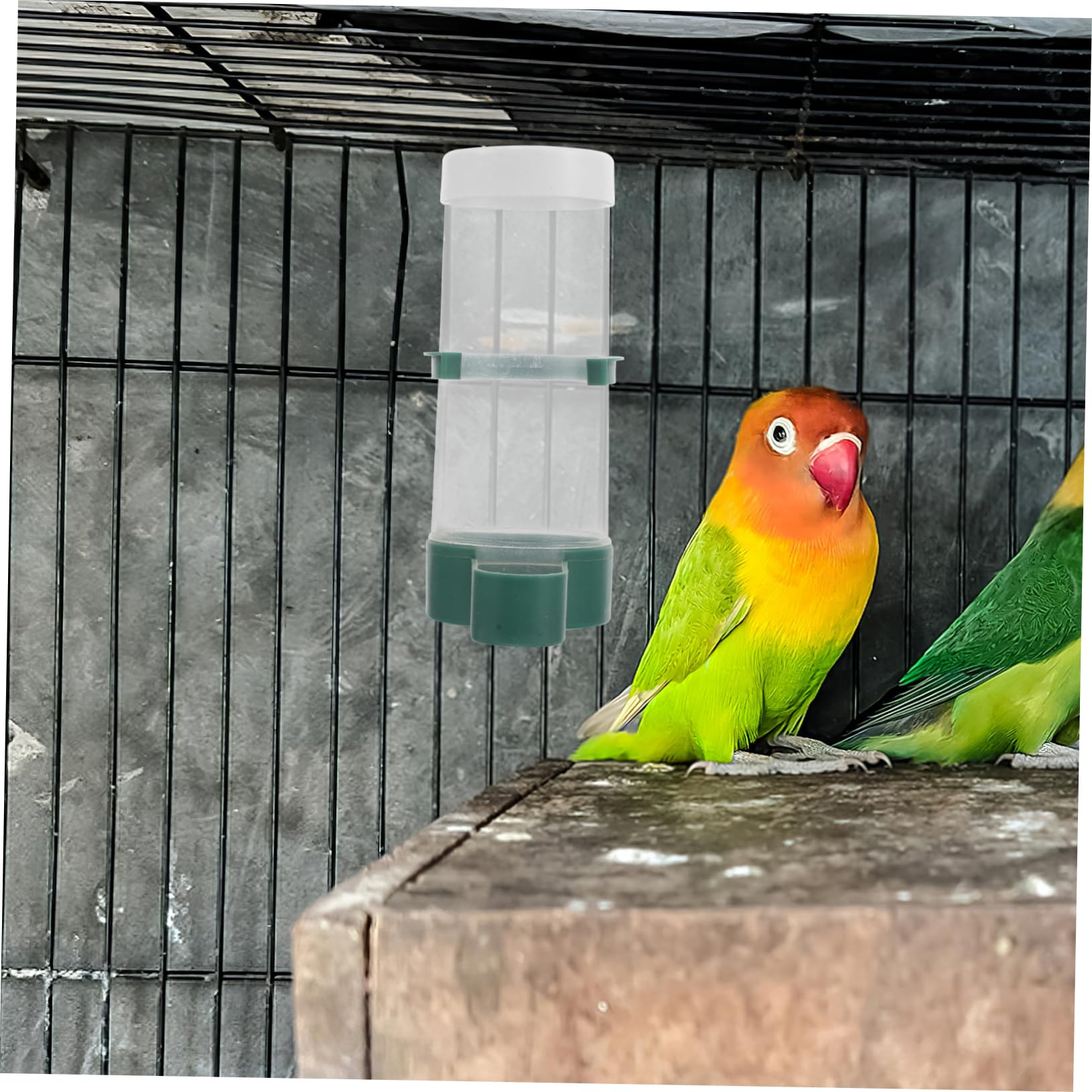 Yardwe 20stücke Vogelfutterspender Automatischer Futterspender Für Vögel Selbstfütterungslösung Befüllung Nährstoffreiche Fütterung Für Papageien Und Andere Vogelarten Flexible