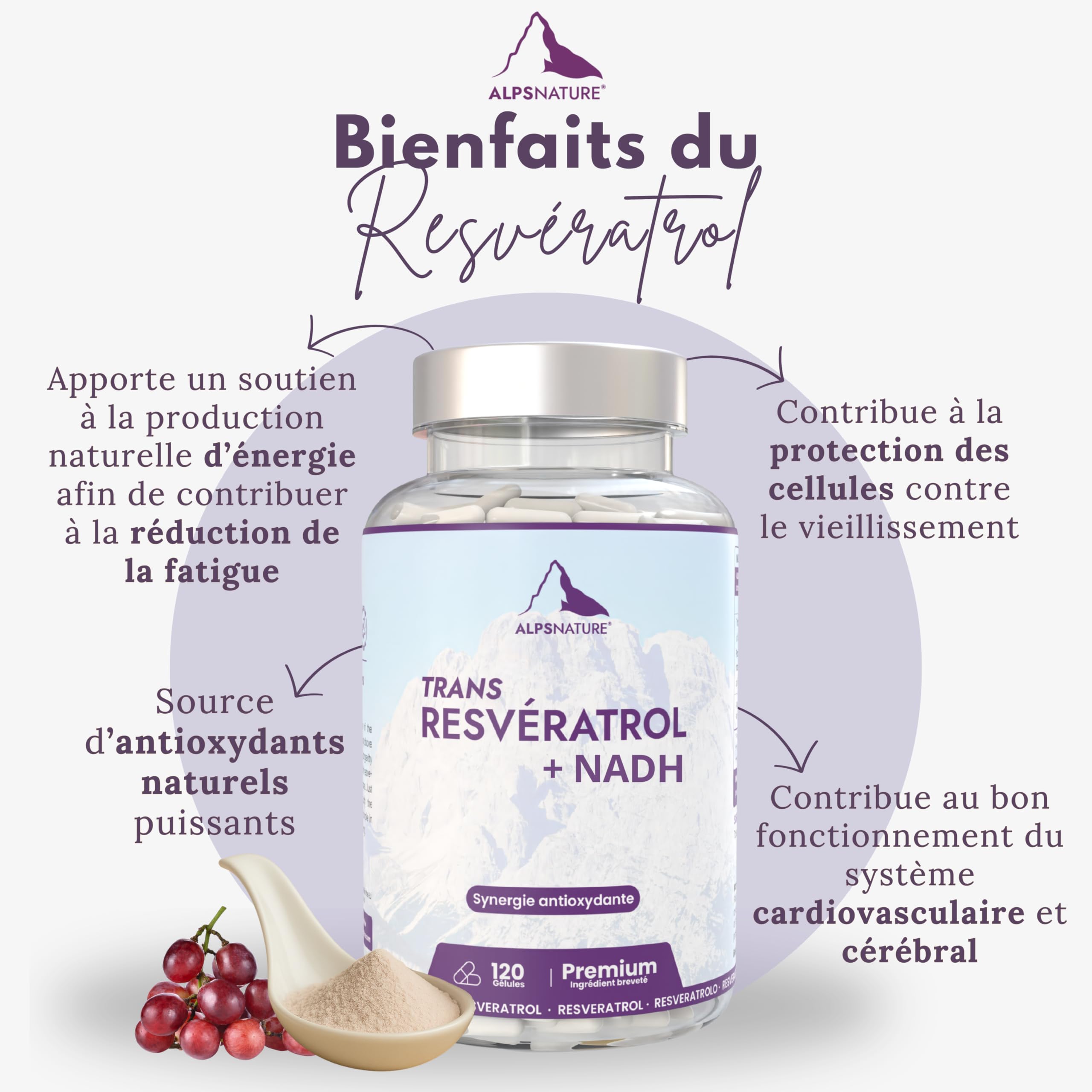 NADH 40mg Panmol Breveté + Trans-Resvératrol 98% Pur – Énergie Cellulaire & Haute Biodisponibilité – 120 Gélules Végétalien & Sans Gluten - Fabriqué en France & testé en laboratoire