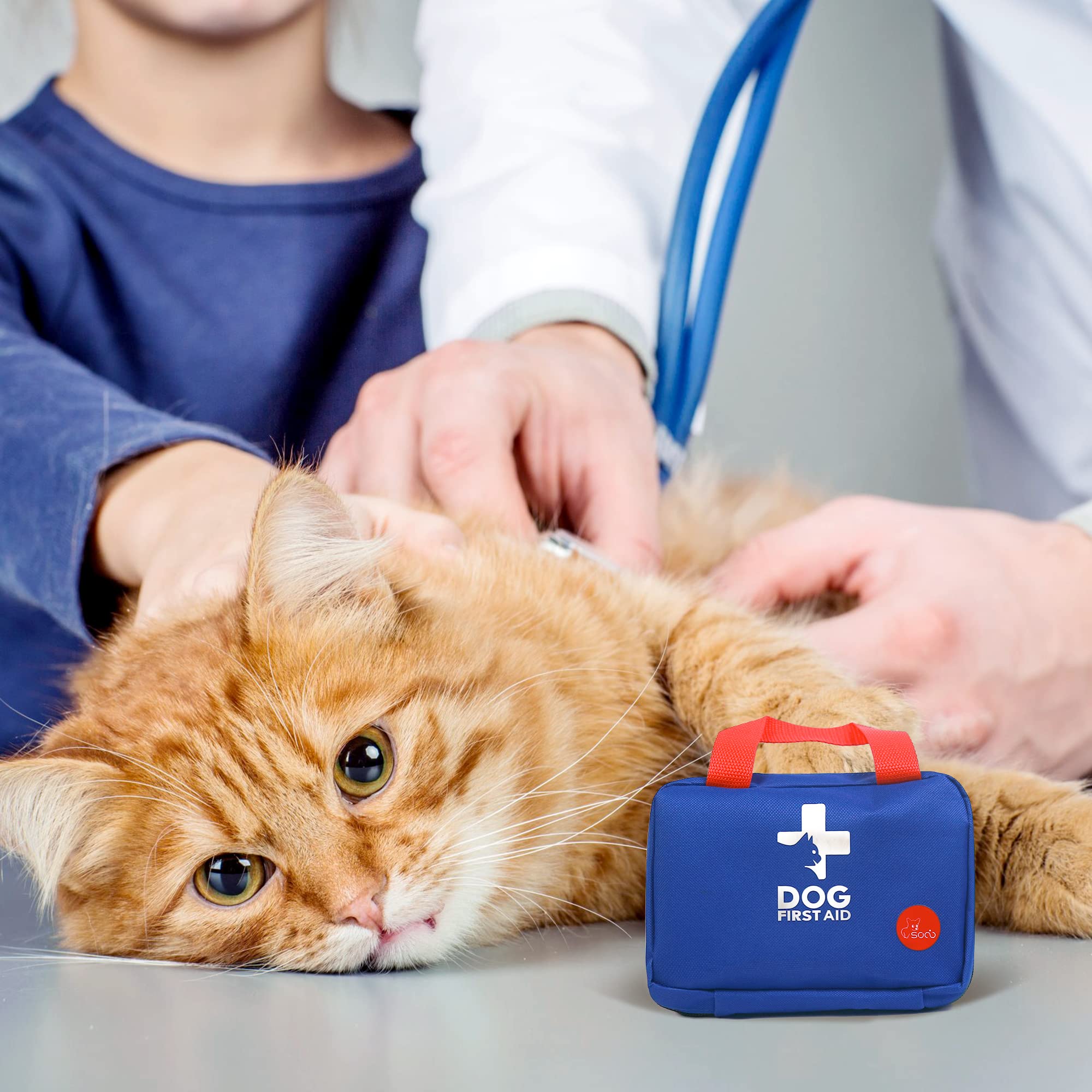 socio Mascota Botiquín de Primeros Auxilios para Perros, Gatos, Conejos, Animales Pequeños, Cuidado del Hogar y Las Emergencias Durante los Viajes al Aire Libre