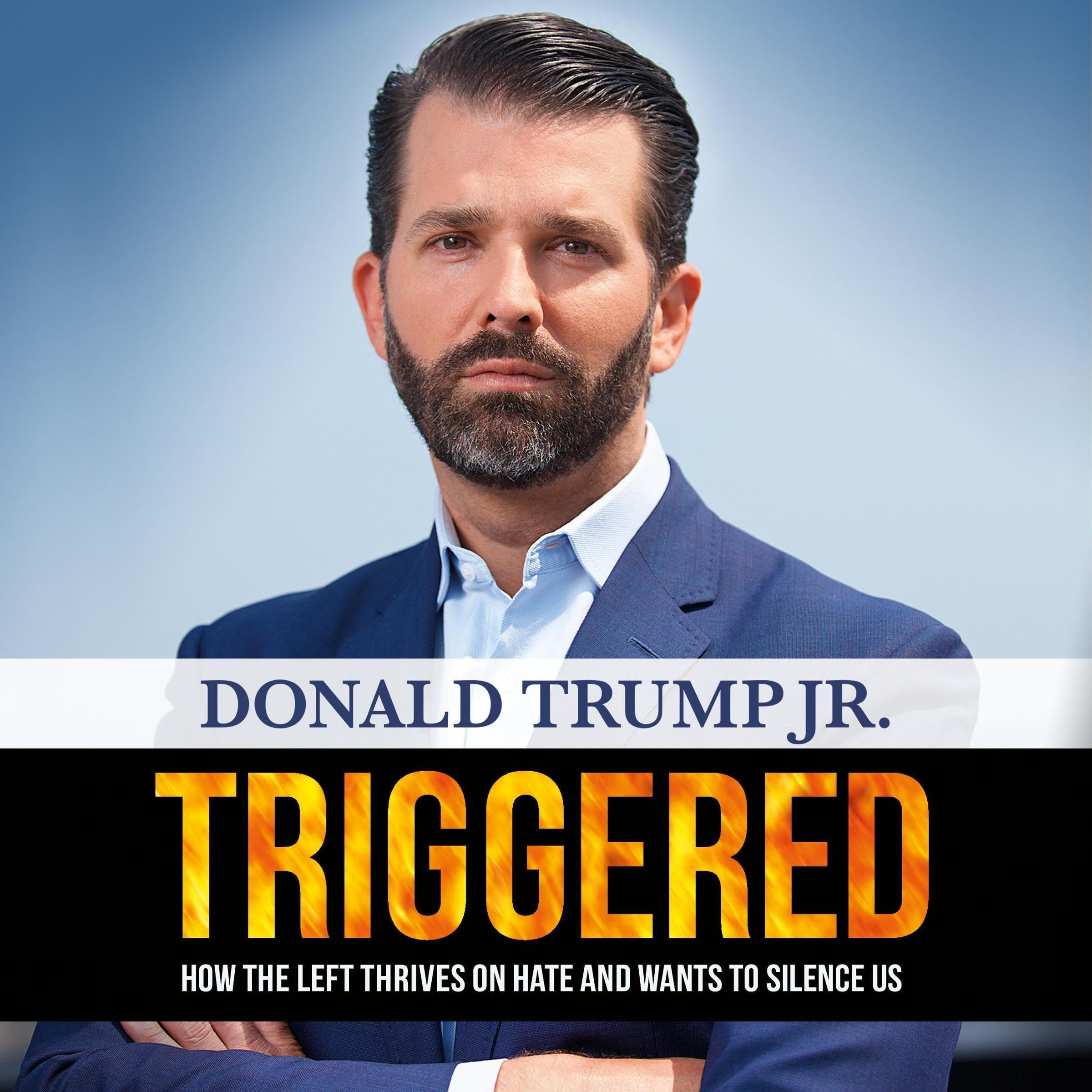 Cover art for Triggered