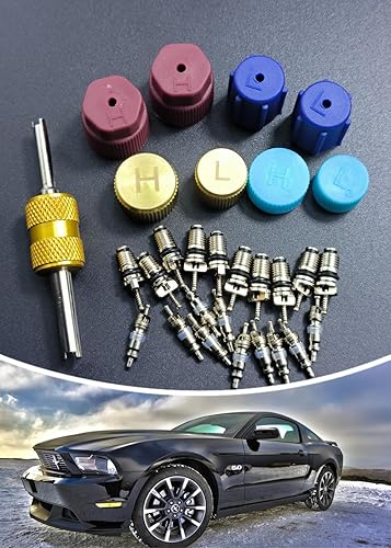 Miniatura 4 de BIHYNGAIR Kit surtido de núcleo de válvula de aire acondicionado de automóvil, 40 unidades, herramienta de extracción de núcleo de válvula de CA, AC
