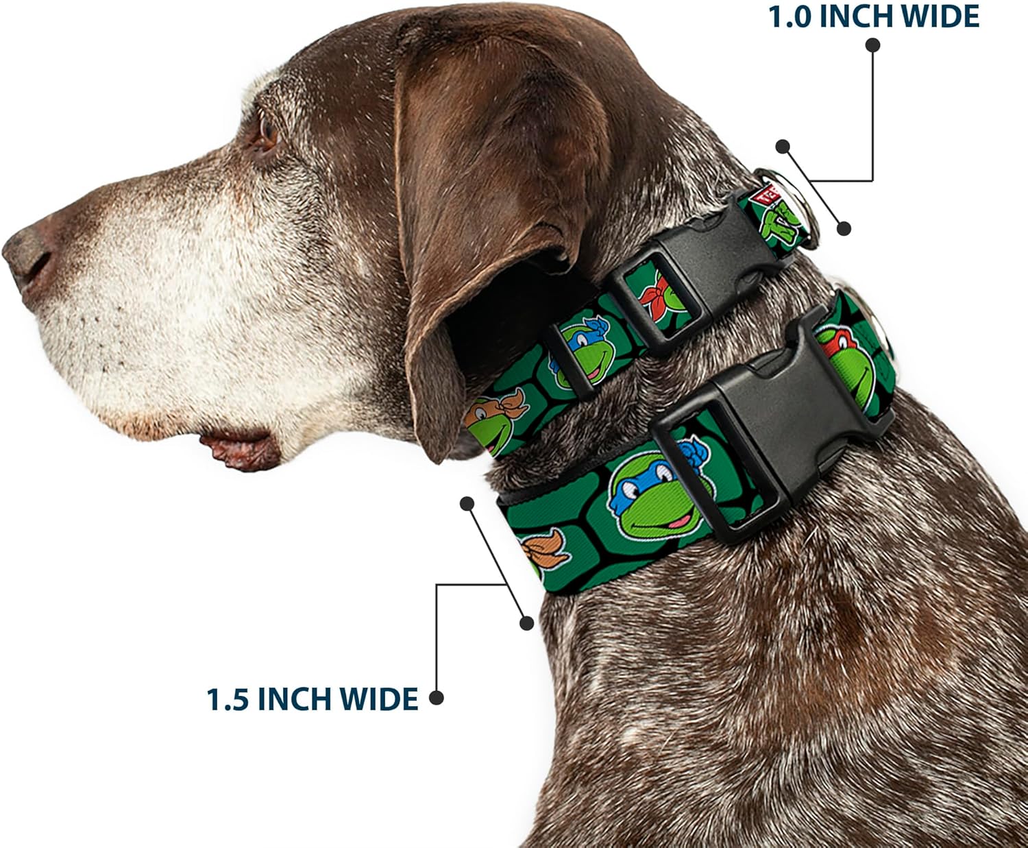 Buckle-Down Classic Tmnt Turtle Faces Black/Green Turtle Shell Plastic Clip Collar, Wide Medium/16-23"