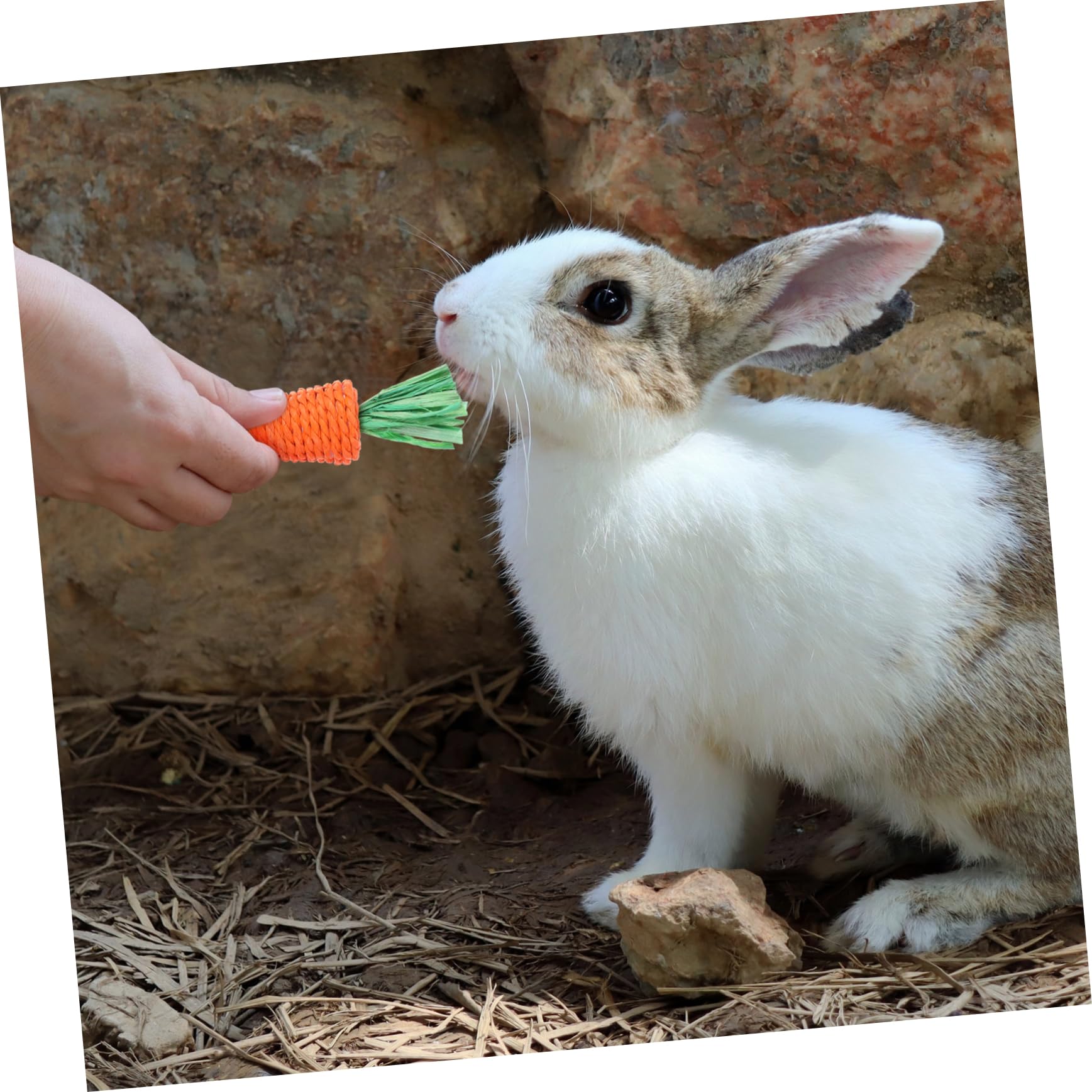BESPORTBLE 30pezzi Giocattoli Da Masticare Per Piccoli Animali Da Carote Molar Radish Materiale Naturale Per Conigli Cavia e Criceti Sicuri e Resistenti Per Gioco e La Masticazione