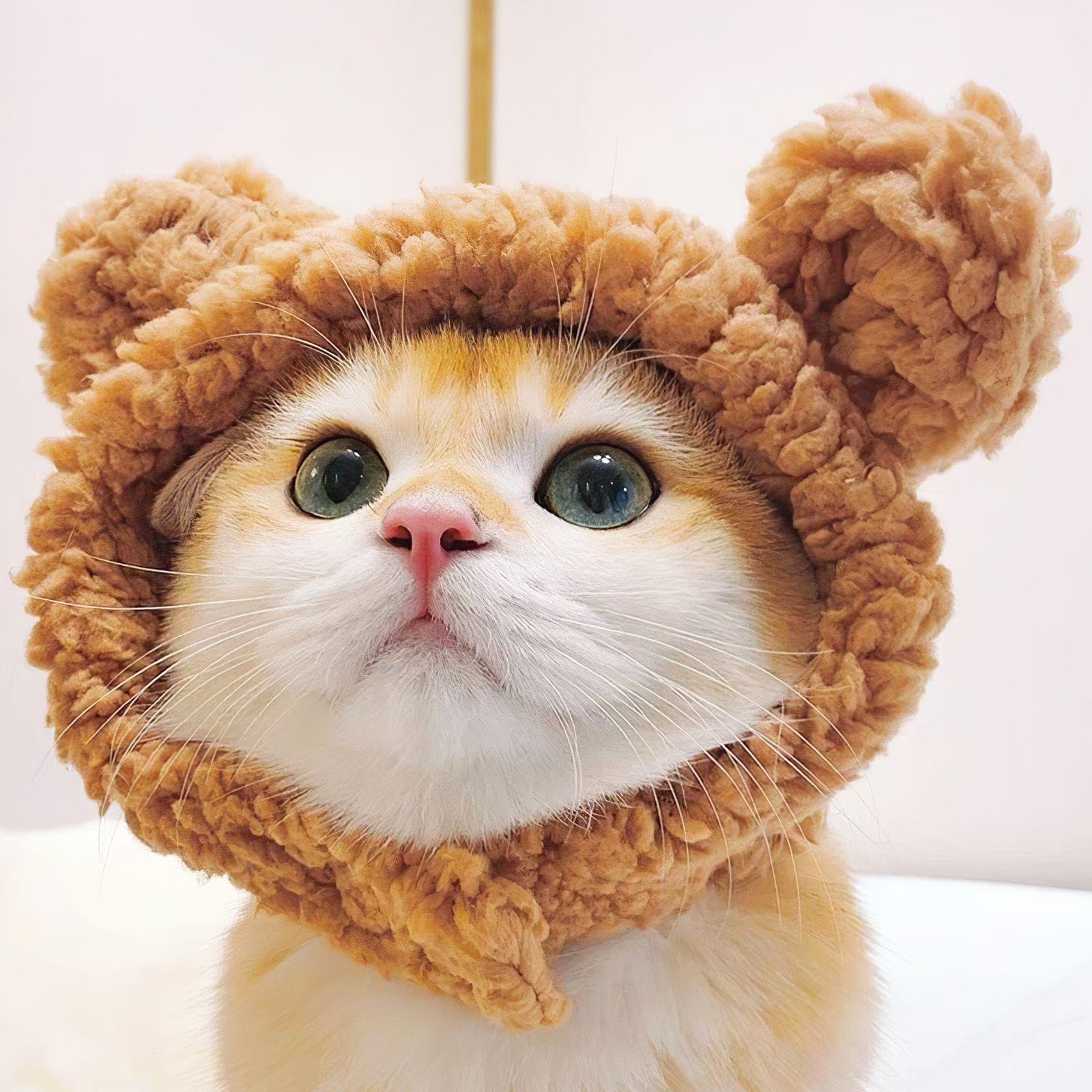 Chapeaux De Chat En Forme D'Ours 2 Pièces, Chapeaux Mignons Pour Animaux De Compagnie, Accessoires De Déguisement Pour Animaux De Compagnie, Chapeaux Chauds Pour Animaux De Compagnie, Marron)