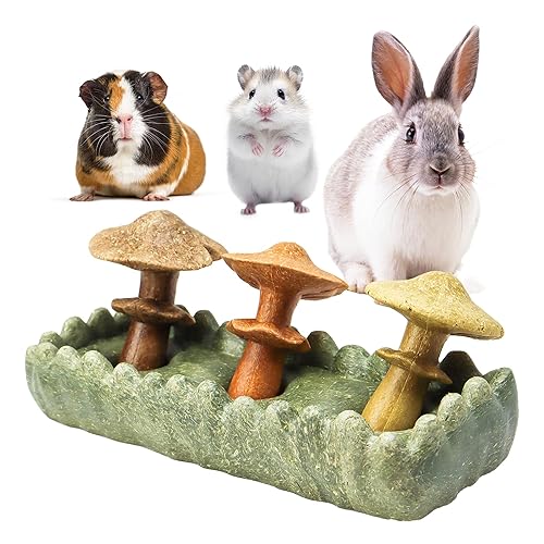 TEEWY 4PCS Guinea Pig Chew Toys, Prevent Teeth Overgrowth, Natural Vegetables and Timothy Grass, Hamster Chew Toys, Guinea Pig Toys, Chinchilla Toys, Grass Patch & Mushrooms - Eco-friendly