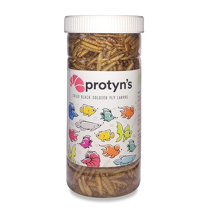 Buy Protyn Whole Dried Black Soldier Fly Larvae Treat Food for