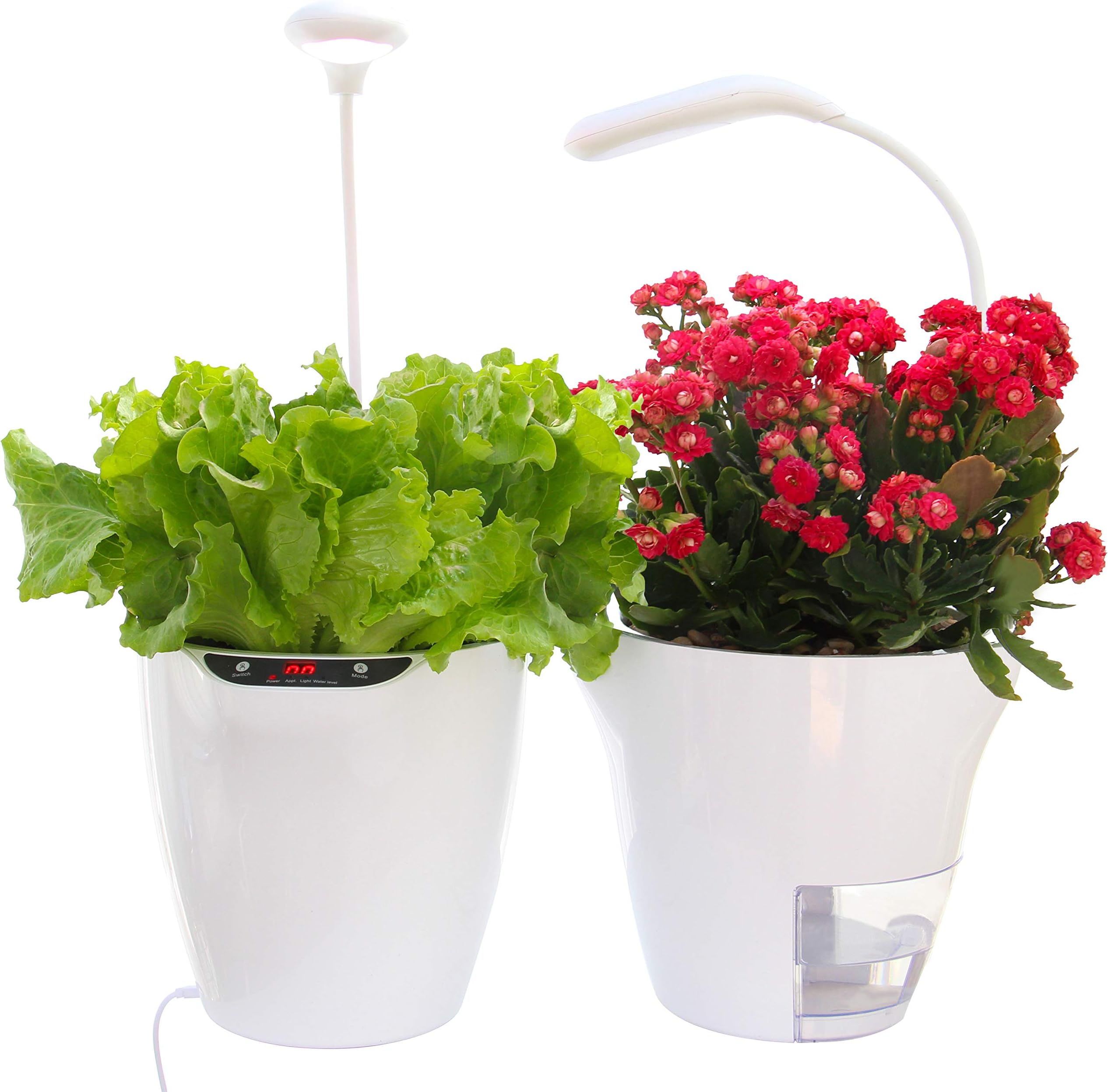 Self Watering Planter and LED Growlight, Indoor Herb Garden or Smart Flower Pot Low Intro Price, Countertop Garden Grows Organic Herbs or Flowers in Soil, No Hydroponics, No Chemicals