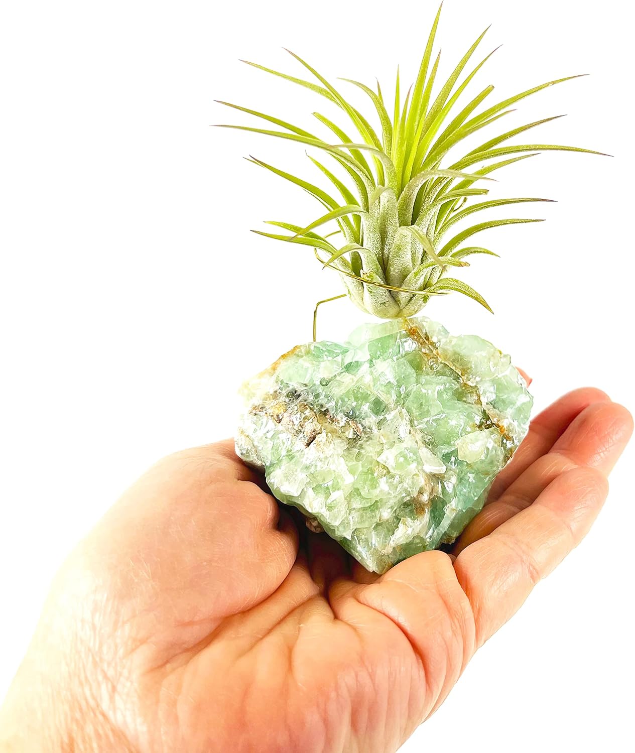 Green Calcite Crystal Air Plant Holder Gift Includes Healthy Live Air Plant and Holiday Box