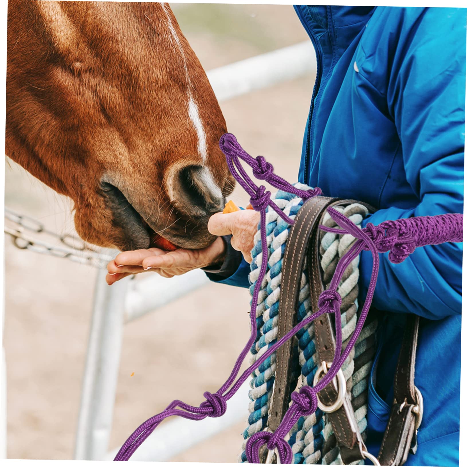 Cabezada De Cuerda Resistente para Caballos Accesorio Profesional De Entrenamiento Duradera y Cómoda Adecuada para Montar y Control Equino