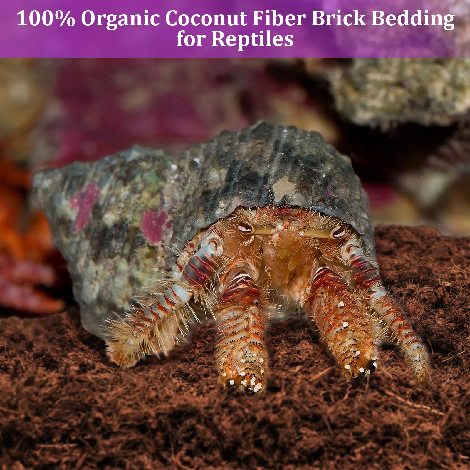 Riare 1 Pack Natural Coconut Fiber Substrate for Reptile Coco Substrate Premium Compressed Coconut Husk Terrarium Bedding for Reptile, Tortoise, Frogs, Snakes Hermit Crabs, Burrowing Animals — view 2