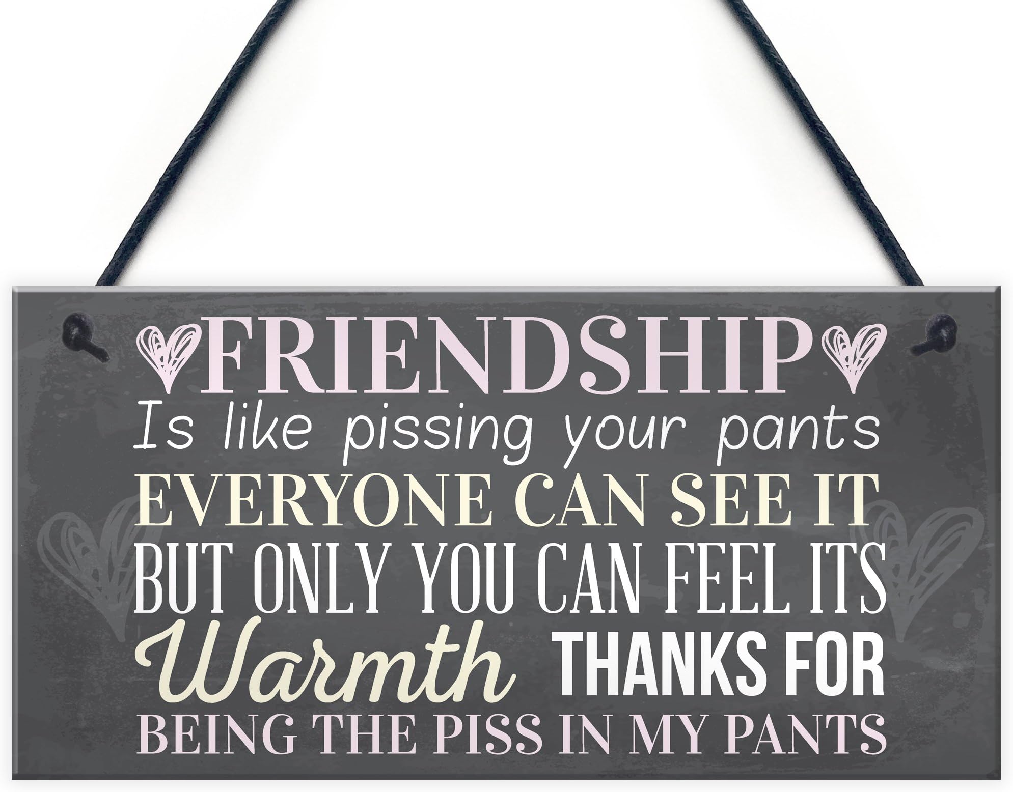 Red Ocean Best Friend Sign Friendship Gift Funny Thank You Novelty Birthday Shabby Chic Hanging Plaque