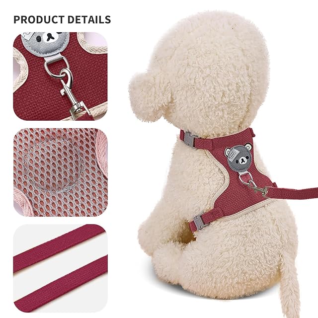 Foto 4 de 5 de PETCUTE Arnés para Gatos con Correa,Arnes Gato Antiescape,Ideal para Pasear al Gato al Aire Libre,Chaleco…