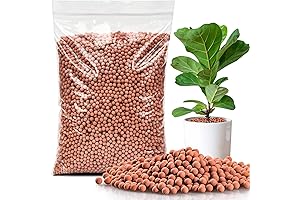 Sukh Clay Pebbles for Indoor Plant Drainage