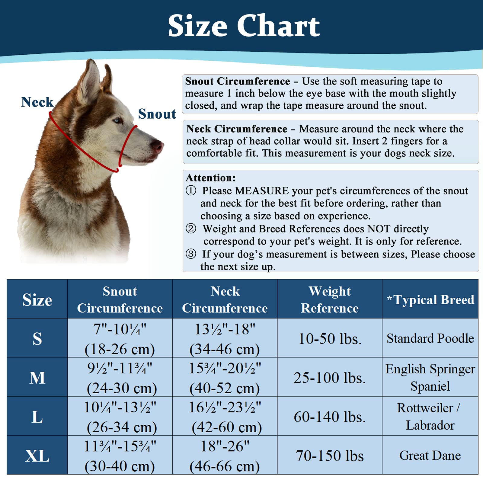 How Do I Stop My Dog From Lunging