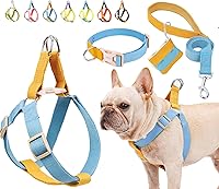 Vista 29 de No Pull Dog Harness and Leash Set, Step in Dog Halter Harness with Poop Bag Holder, Adjustable Lightweight Cotton Straps Suitable for Small Medium