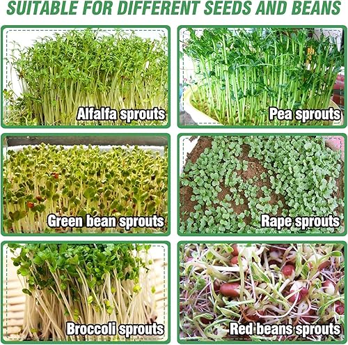 Miniatura 6 de Kit de germinación de semillas de acero inoxidable – Bandeja de cultivo de microverdes de 4 niveles de 6 pulgadas de diámetro