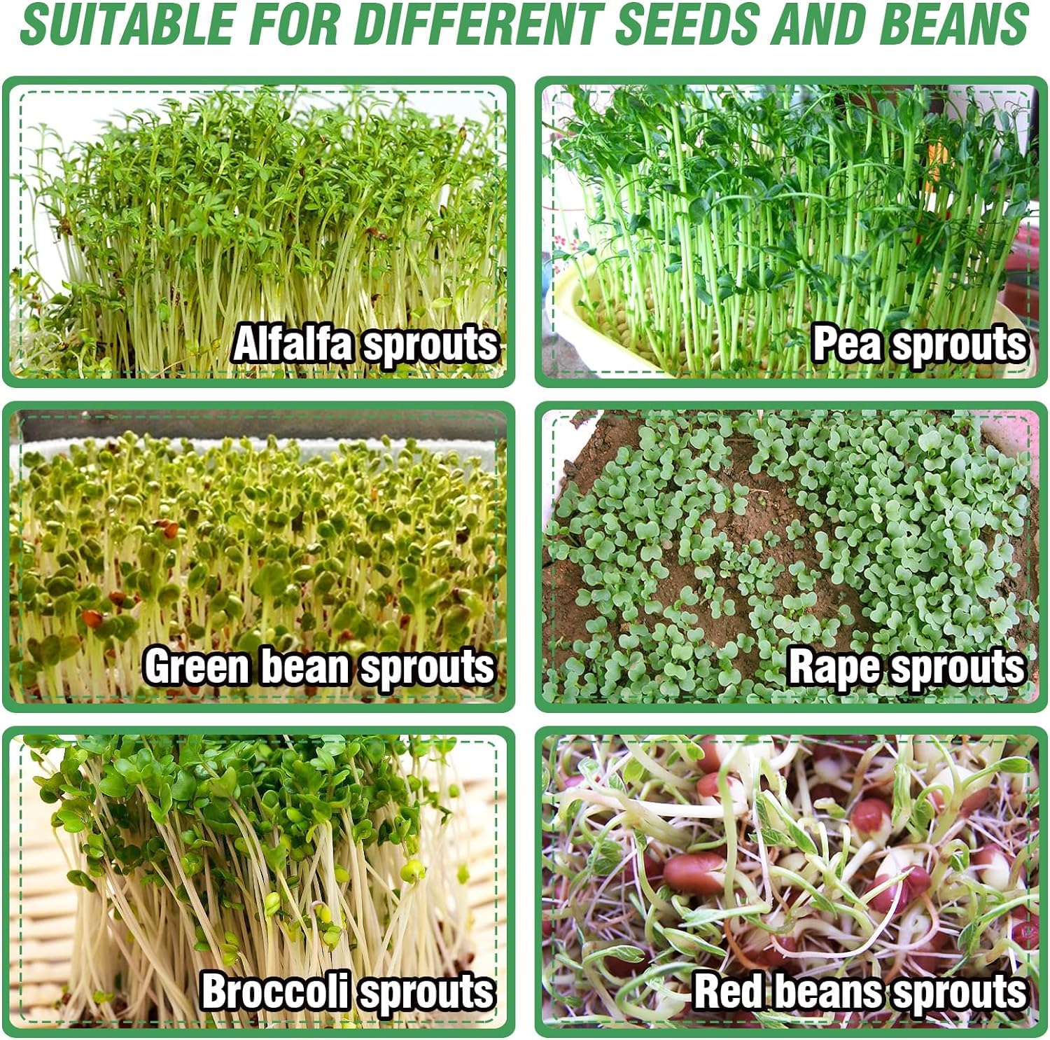 Kit de germinación de semillas de acero inoxidable, bandeja de cultivo de microverduras de 3 niveles de 6 pulgadas de diámetro, fabricante de brotes redondos apilables con malla cifrada, cultivador de