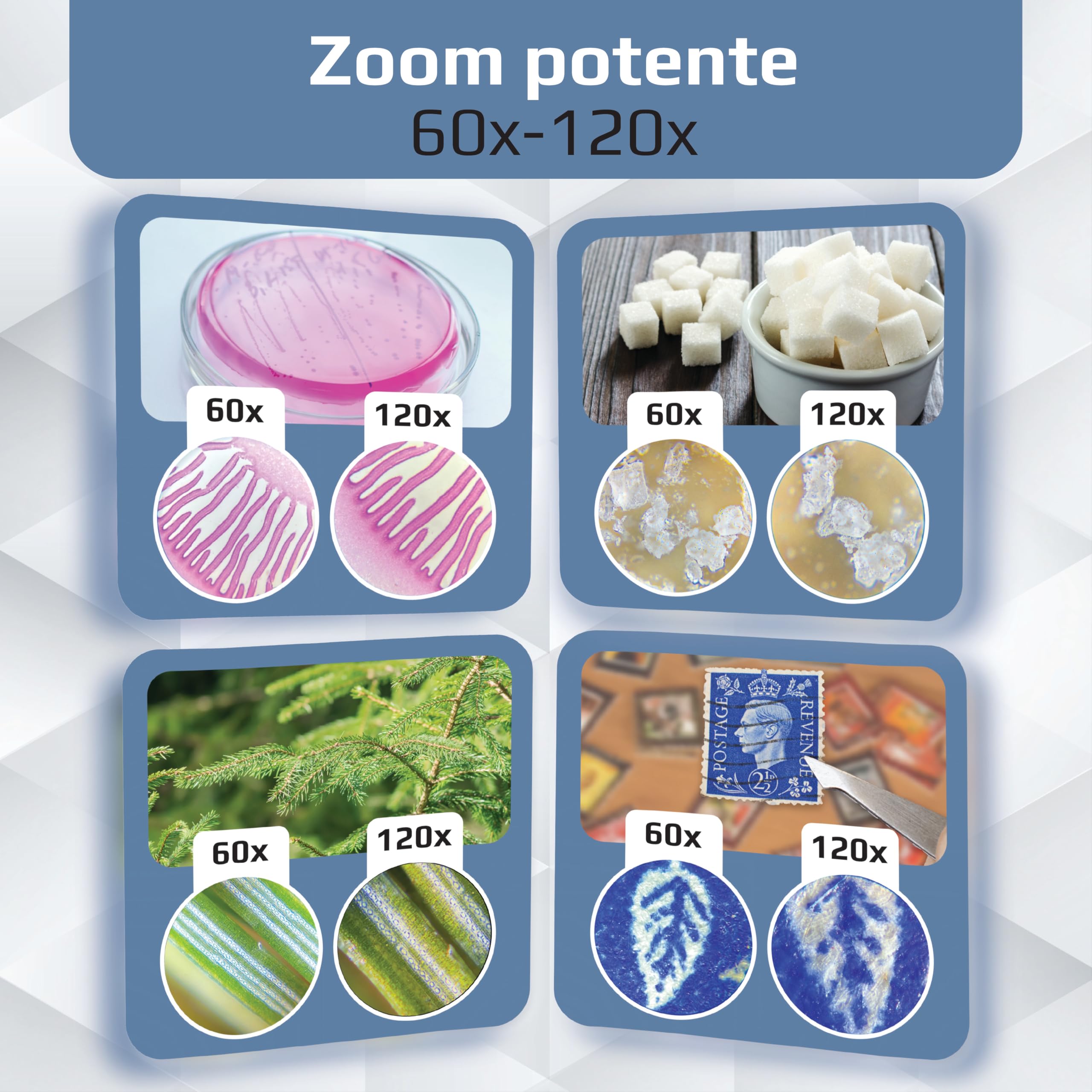 Microscopio Carson MicroBrite Plus 60x -120x aumento con illuminación LED microscopio de bolsillo – gris (Pack de 4)