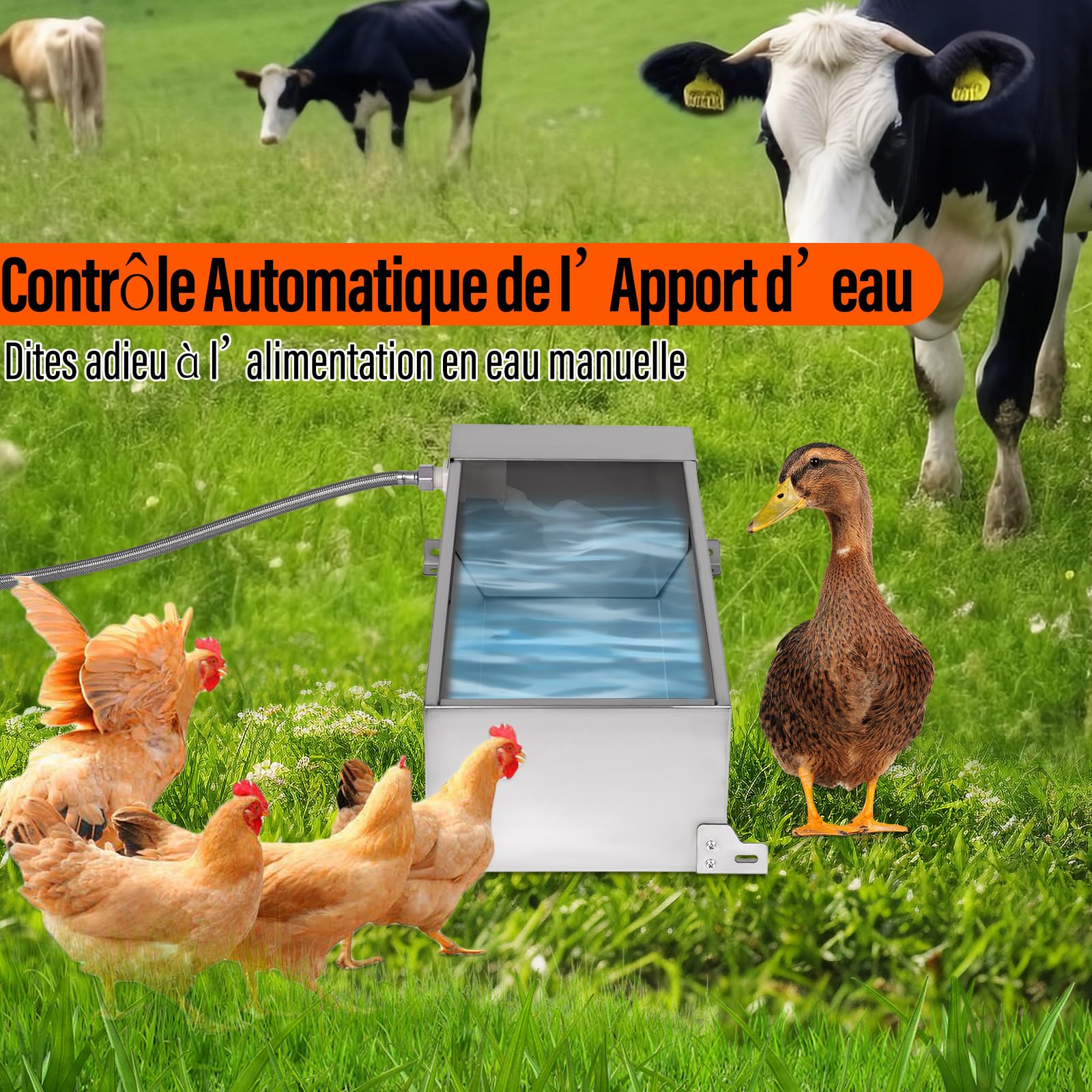 Abreuvoir Automatique Pour ChèVres en Acier Inoxydable Avec Robinet à Flotteur de 1/2 Pouce Abreuvoir Pour Bovins, Chevaux et Chèvres BéTail, Chiens et Volailles Abreuvoirs Fournitures Pour le BéTail