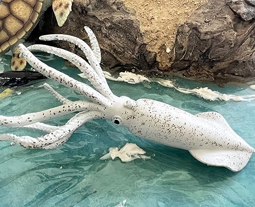 Miniatura 8 de Gemini&Genius Juguete de calamar para niños, figura de juguete de animales marinos del mundo oceánico, 6 pulgadas de longitud, figura de acción de