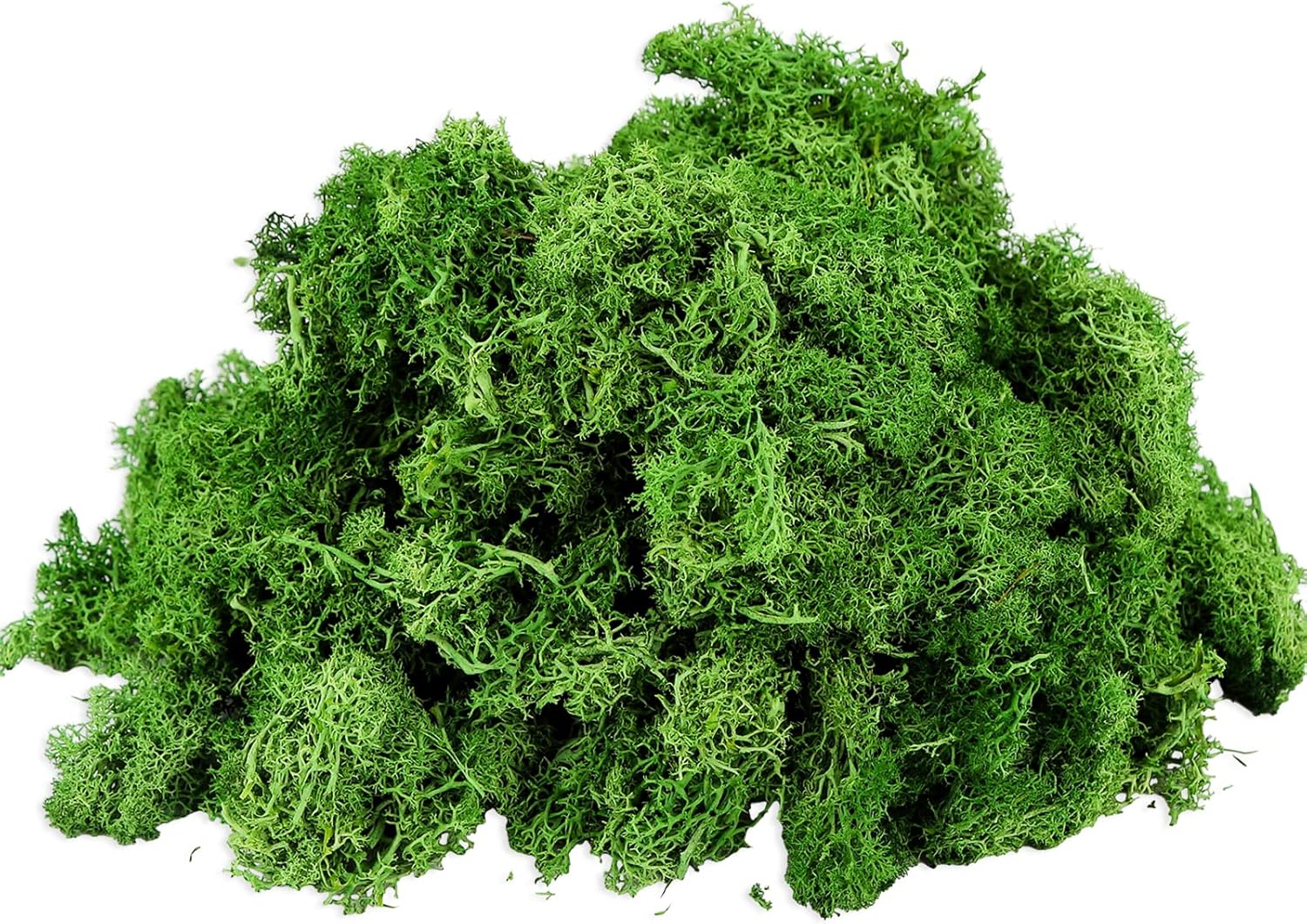 200g Artificial Moss Fake Faux Natural Fresh Green Moss Decorative 5