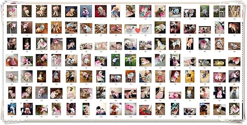 Miniatura 9 de Vestido veraniego de estampado floral y moño para gatas o perritas pequeñas