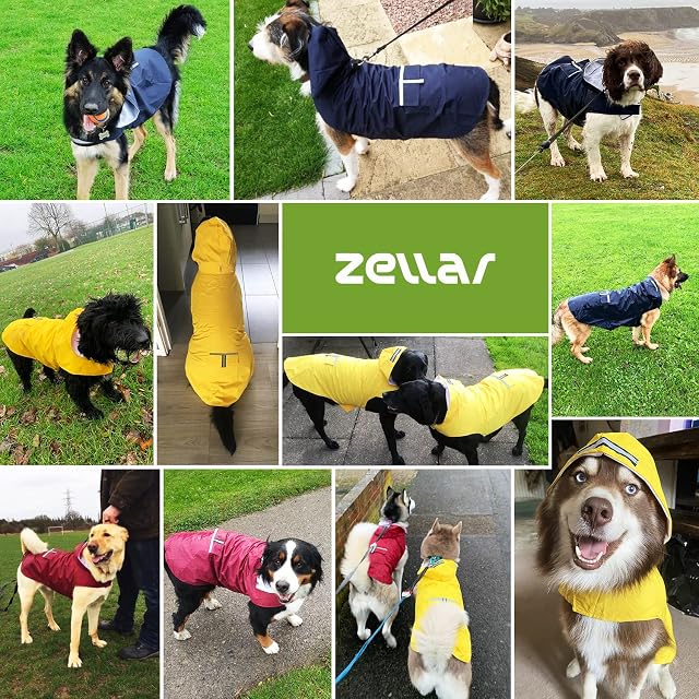 Foto 7 de 7 de Impermeable para Perros con Capucha y Collar Agujero y Tiras reflectoras seguras