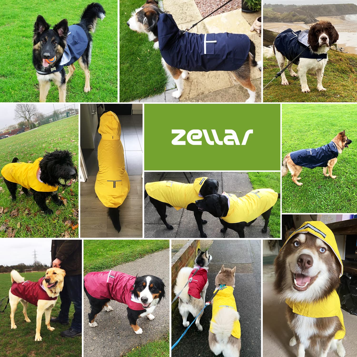 Imperméable pour Chien Zellar avec Capuchon, imperméable pour Chien 100% étanche ultraléger et aéré avec Bandes réfléchissantes pour Chiens Moyens à Grands(5XL, Bleu)
