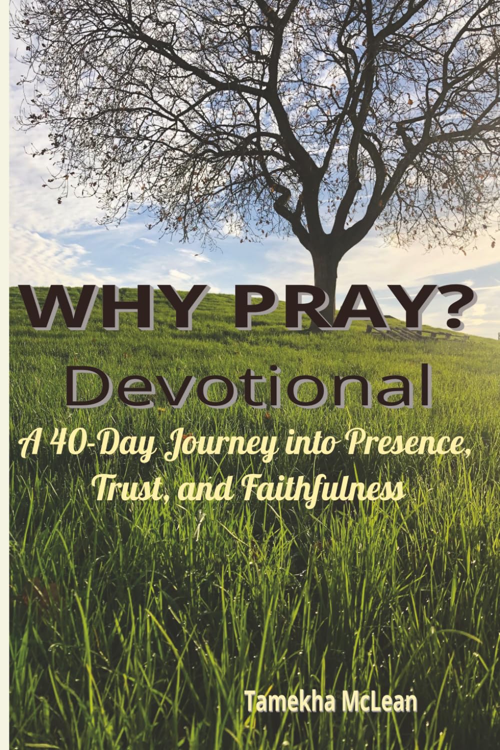 WHY PRAY? In the Secret Place: A Forty-Day Journey into Presence, Trust, and Faithfulness