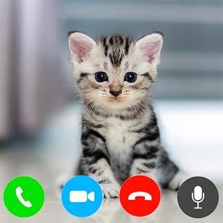 Cats Fake Video Call - Cat Audio Call with Live Chat