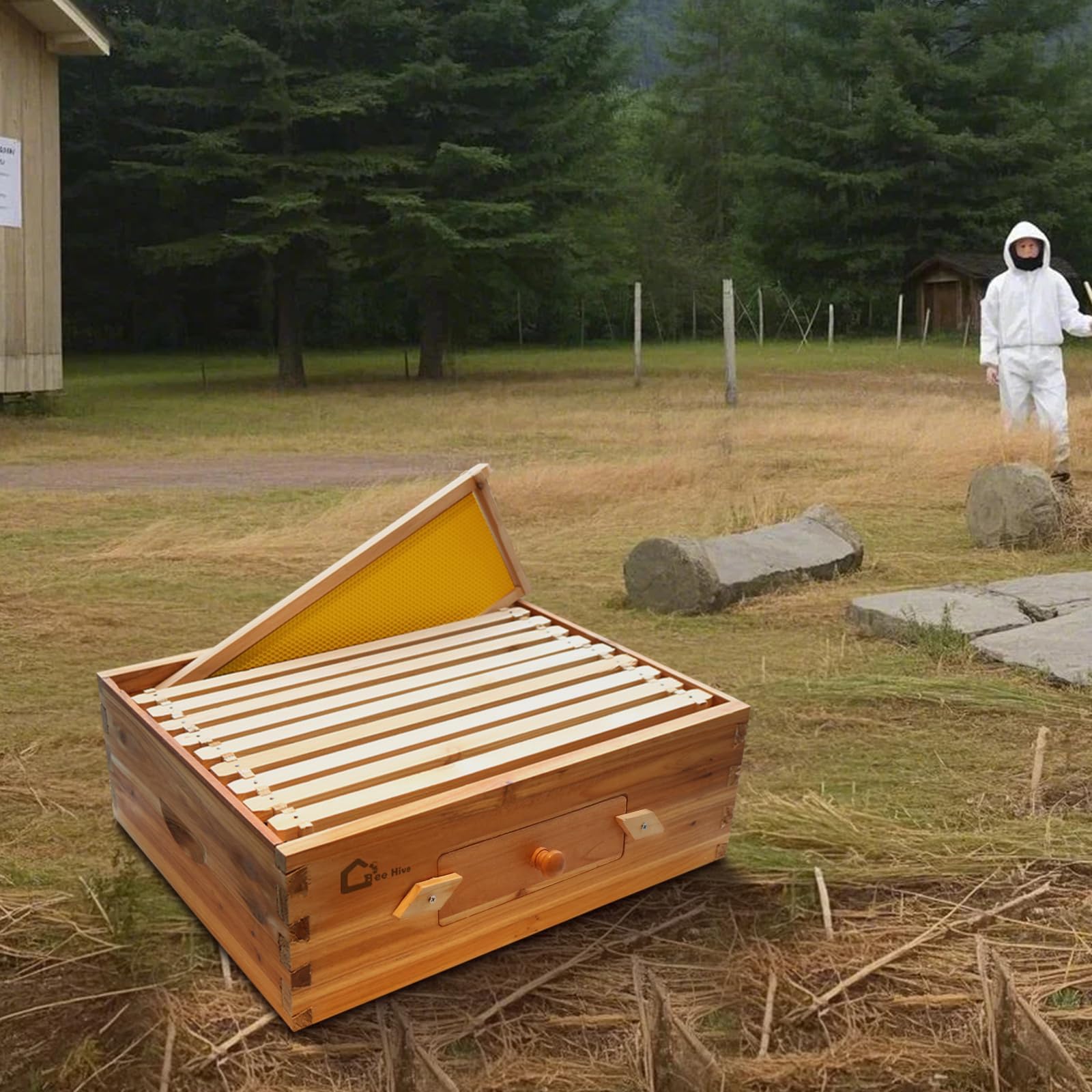 Kit de démarrage de ruche, boîte à essaim avec 10 rayons moyens, ruche en bois massif avec cadre en bois et fondation cirée, boîte de ruche durable, fournitures d'apiculture, maison d'abeilles