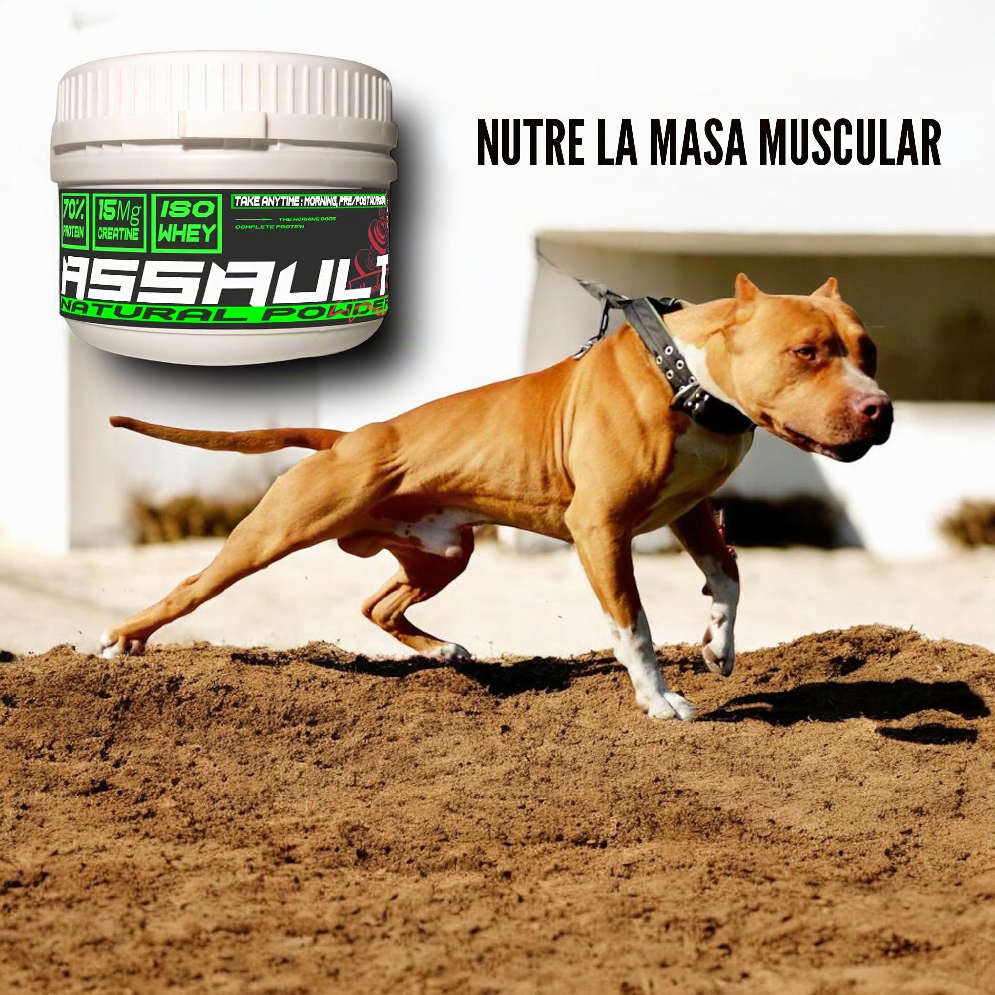 Assault Natural Powder 125 Suplemento muscular para perros con proteínas del suero W.P.C. 80%, aminoácidos, creatina 15.000 mg, B.C.A.A., para crecimiento y definición muscular