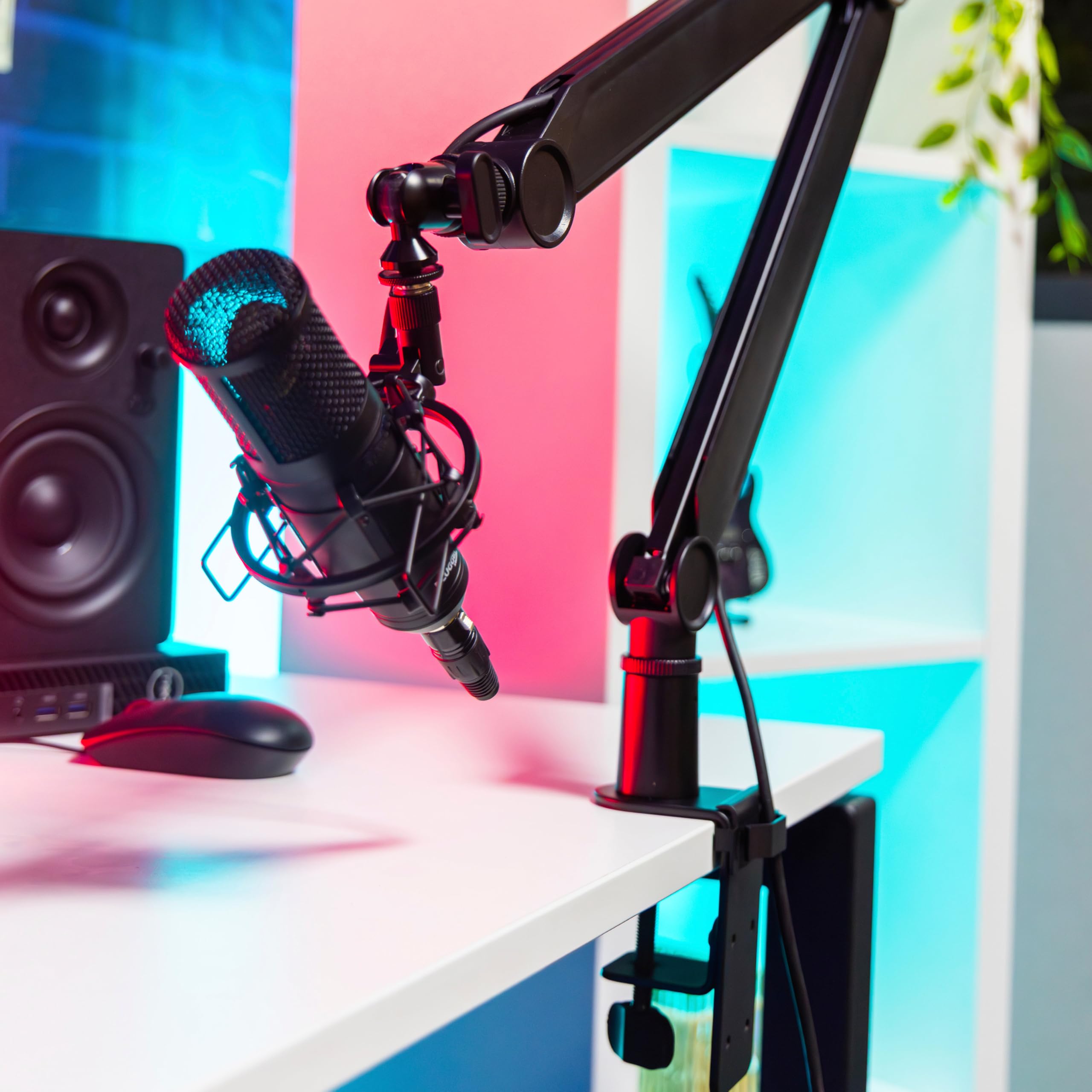 Plugger Studio Flextream - Soporte para micrófono de mesa articulado, brazo de micrófono flexible para podcast, streaming, voz en off, home studio, visio, escritorio, fijación de abrazadera