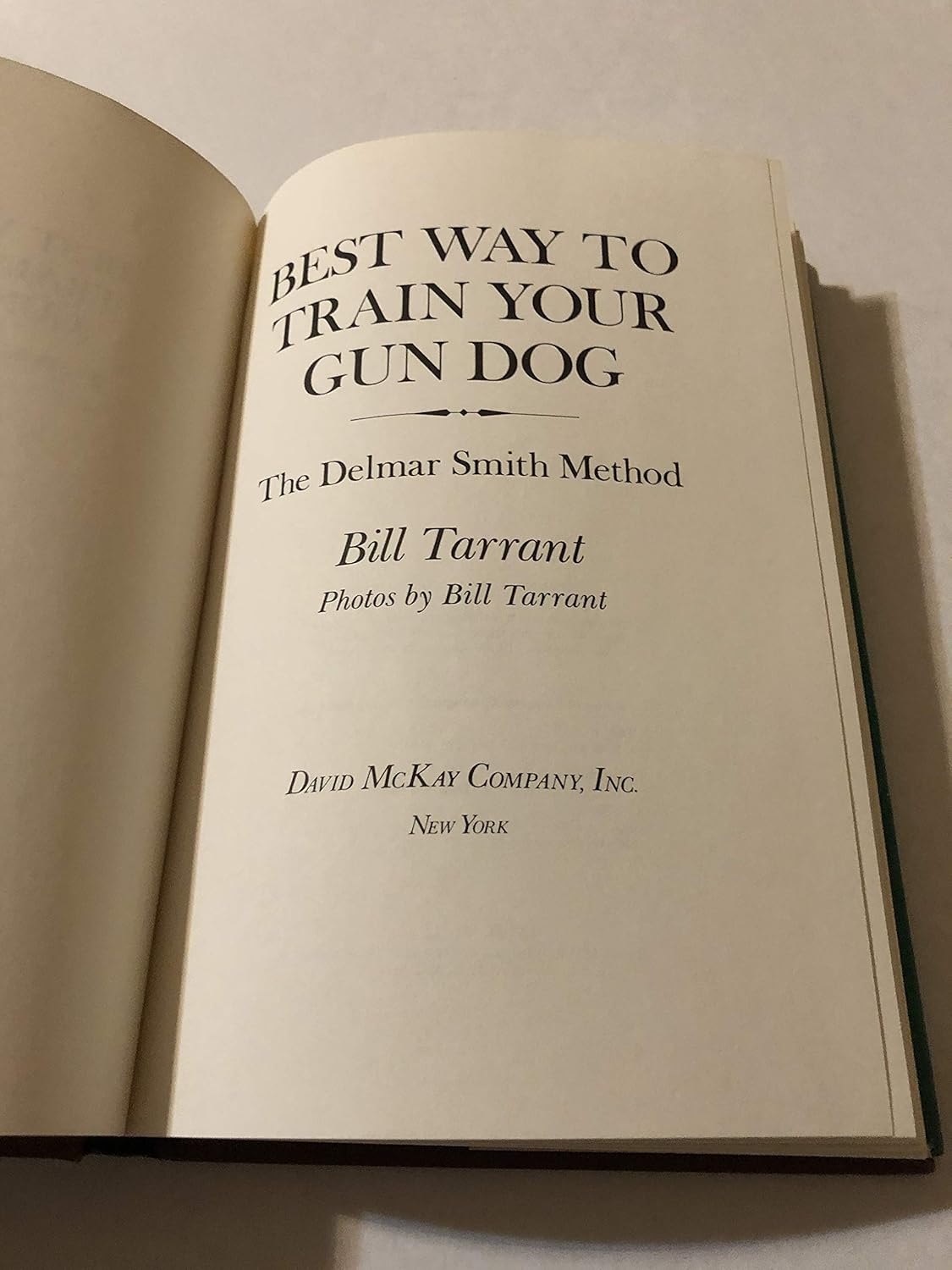 Best Way to Train Your Gun Dog: The Delmar Smith... 8 Best Way to Train Your Gun Dog: The Delmar Smith...