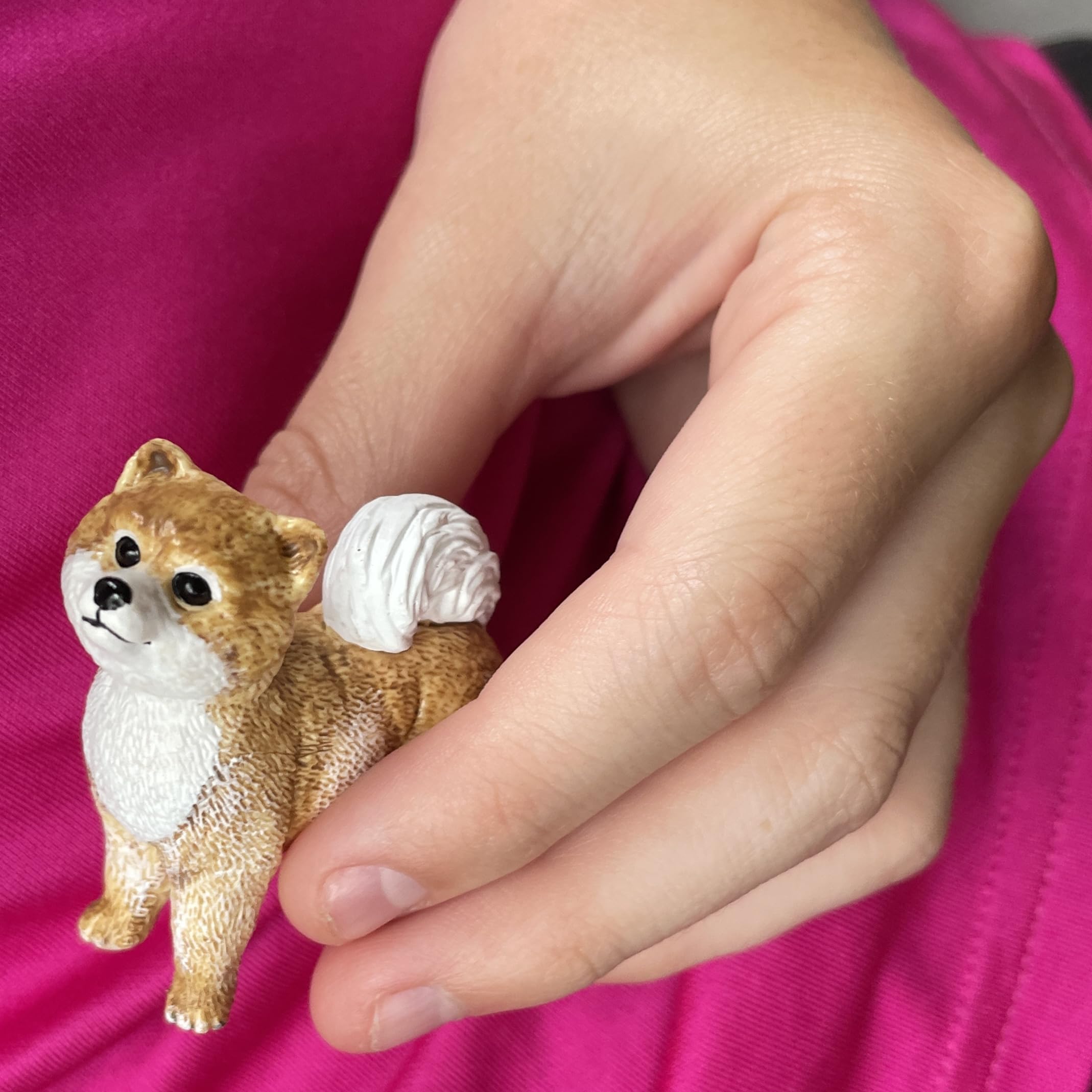 Amazon.com: Safari Ltd. Pomeranian - Realistic 2