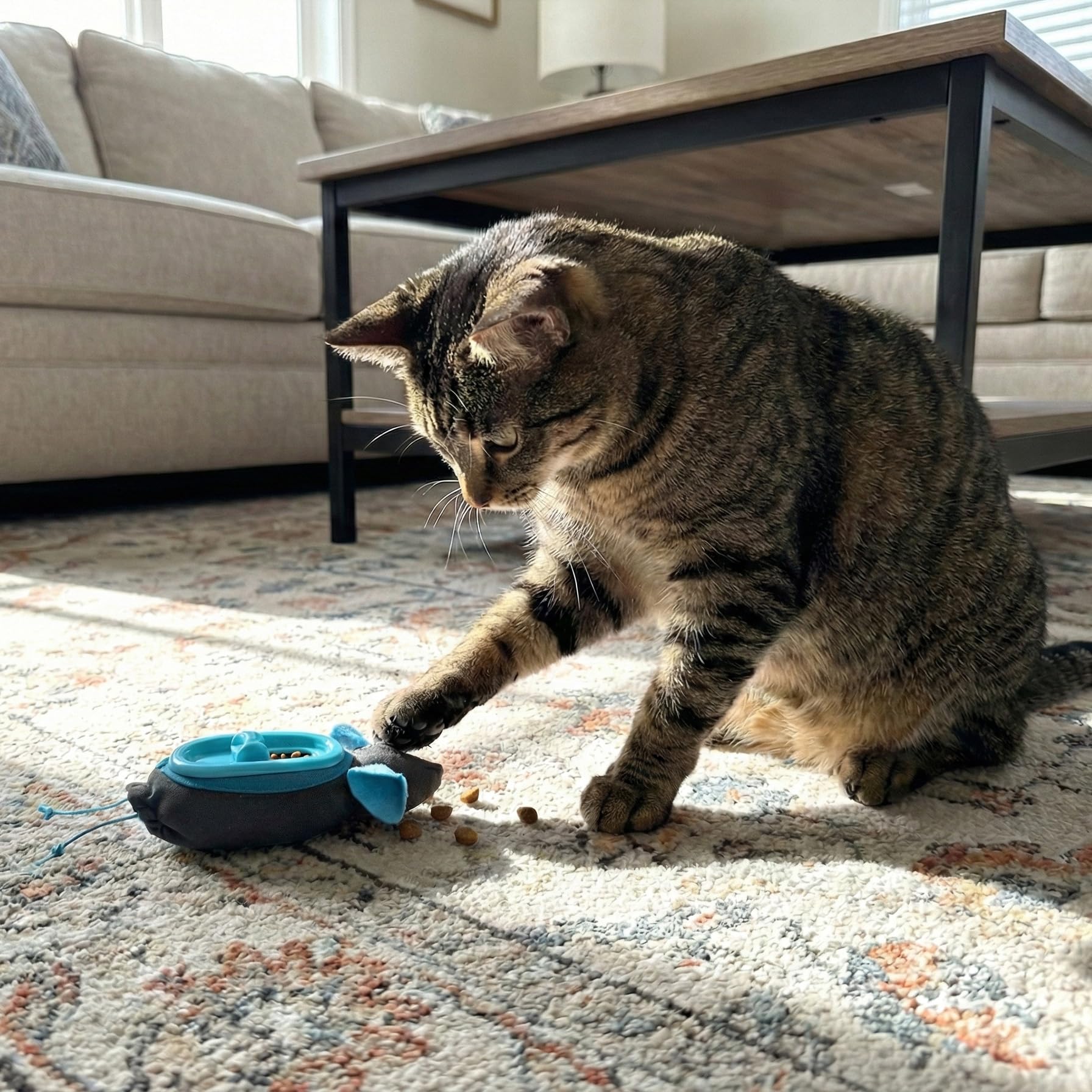 Doc & Phoebe - Mangiatoia interattiva per gatti da caccia, taglia unica