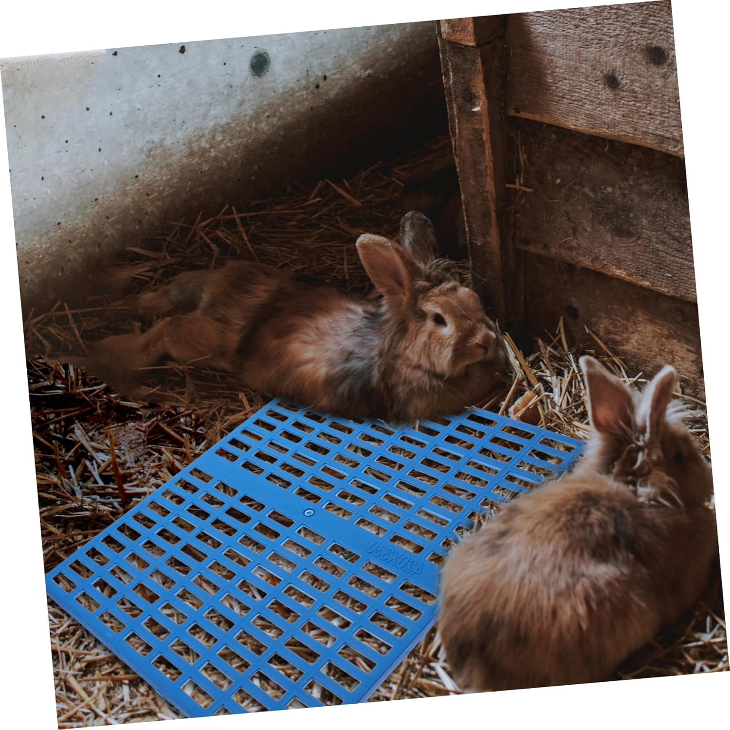 4pcs Rabbit Guinea Pig Accessory Wear-Resistant Cage Mats Easy-Clean Foot Pads for Small Animal Cages