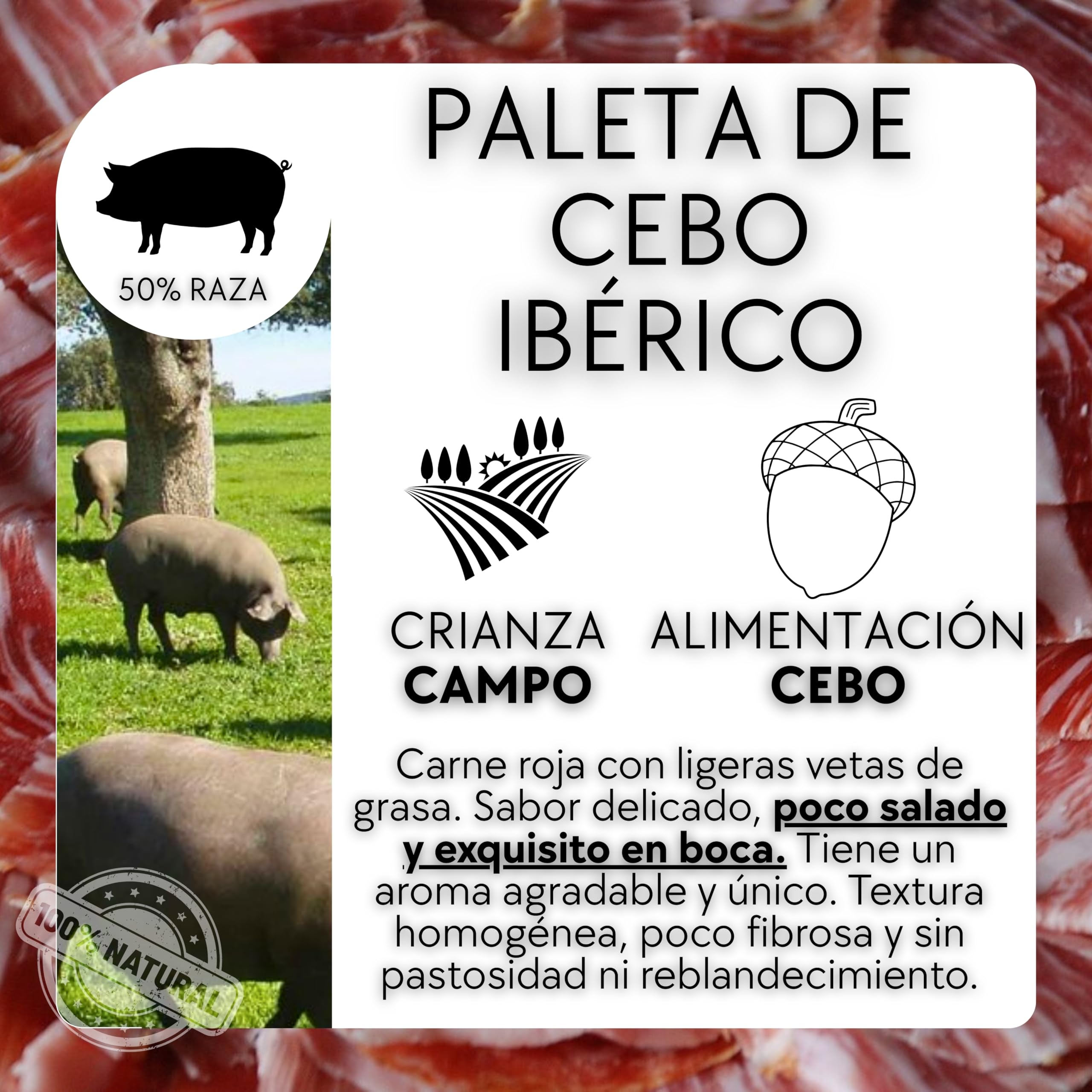Jamon LOS CALVO Lote Loncheado Paleta Iberica de Cerdo Pata Negra | Maletín Paletilla 12 Sobres 960Gr + 200Gr Virutas y Tacos del Jamón Deshuesado de Regalo Embutidos Gourmet España 50% Ibérico