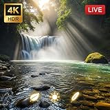 HibaBaraada - Fire TV & tablet