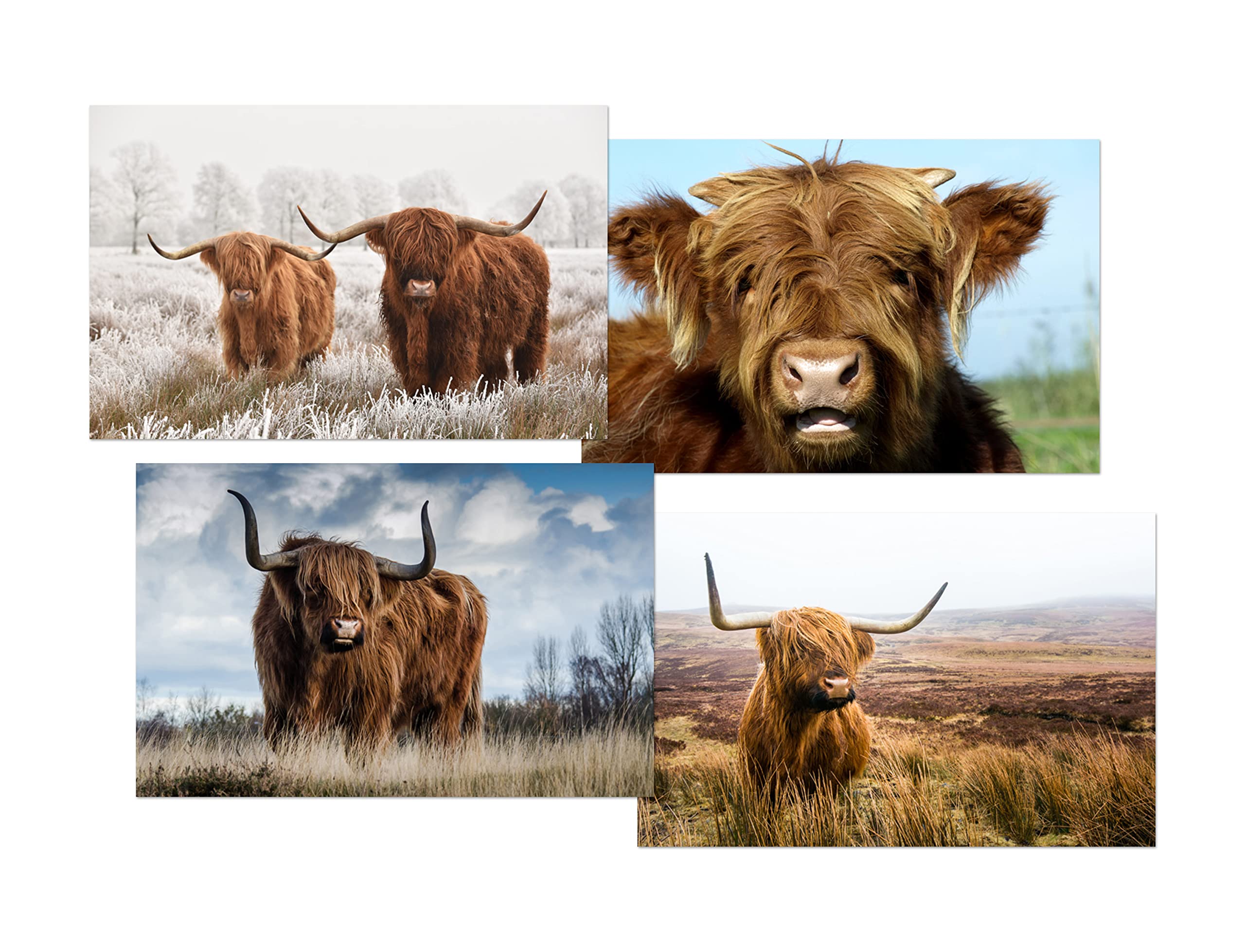 DV DESIGN 1 penna nera a forma di mucca delle Highland – mucche scozzesi animali selvatici cancelleria scuola attrezzature insegnante amico ragazze ragazzi Natale compleanno #80680