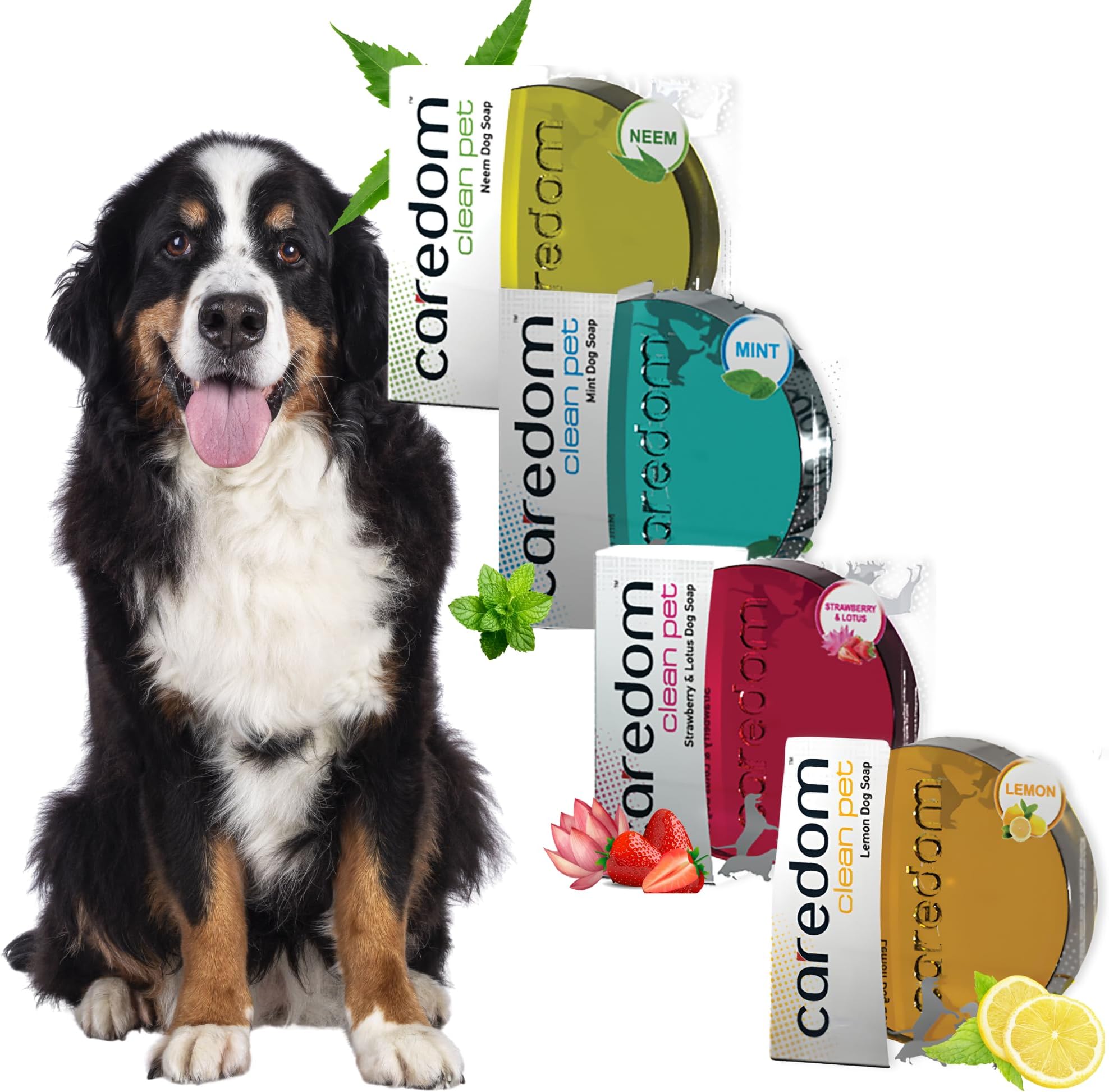 Clean Pet Dog Soap Combo - All 4 Variants (Neem, Strawberry, Lemon, Mint) 75g Each - Transparent Glycerine Pet Bar Set | Antifungal, Antibacterial & Refreshing Fragrance | Money Value Pack